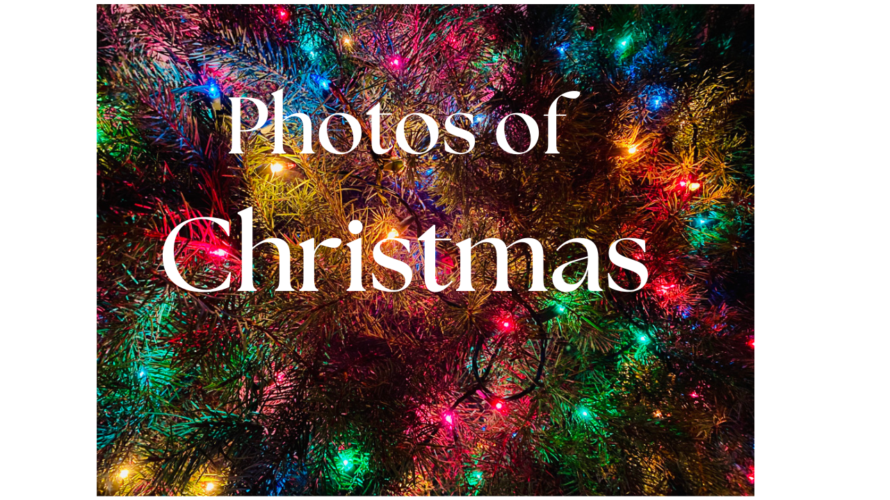 cover of episode Photos of Christmas