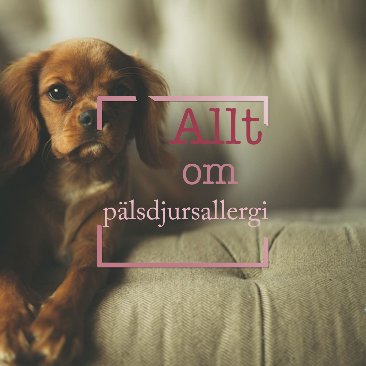 Hundpodden Vår Bästa Vän