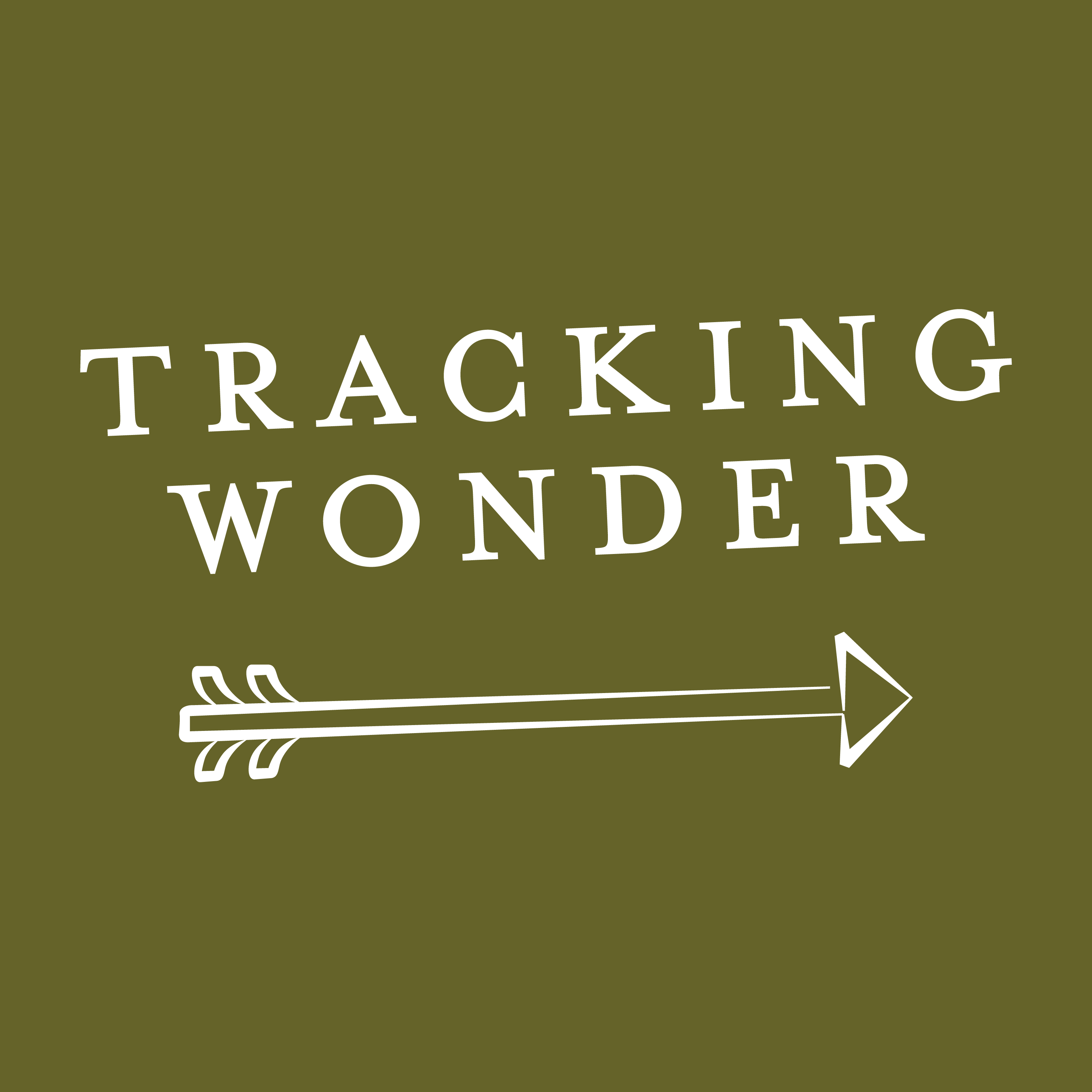 Tracking Wonder Podcast