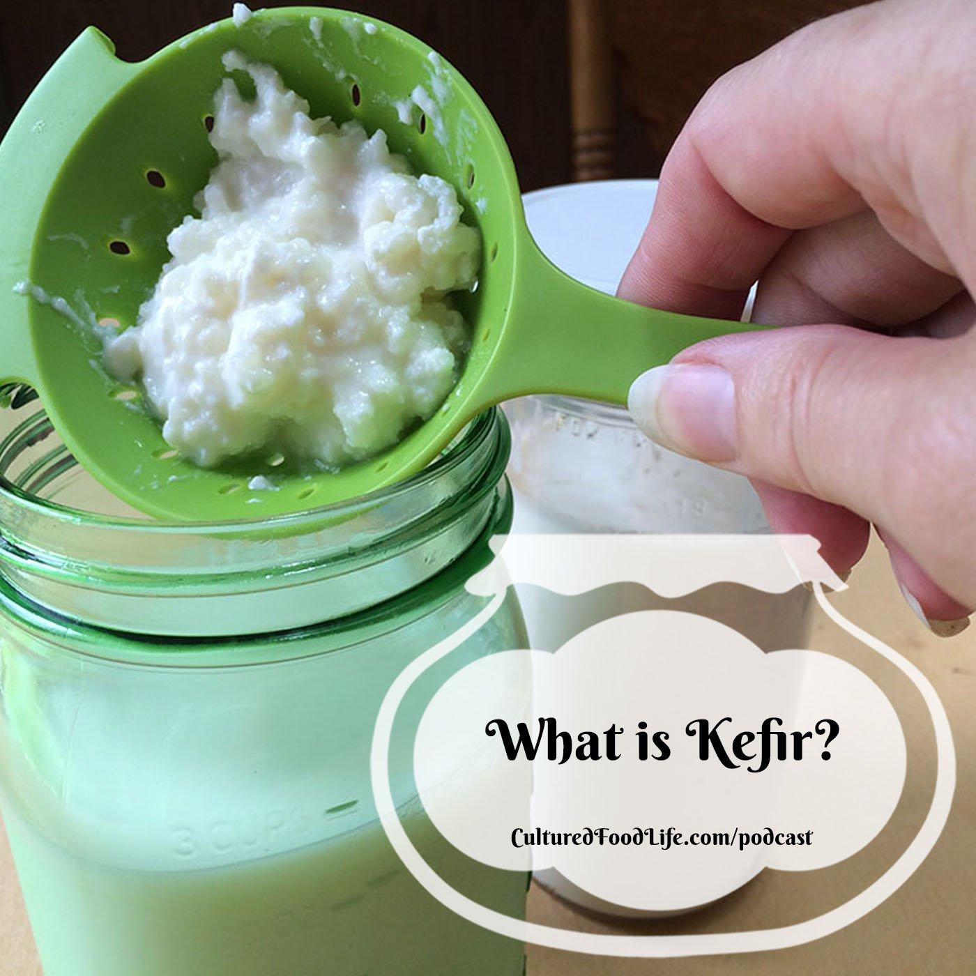 Episode 282: What is Kefir?