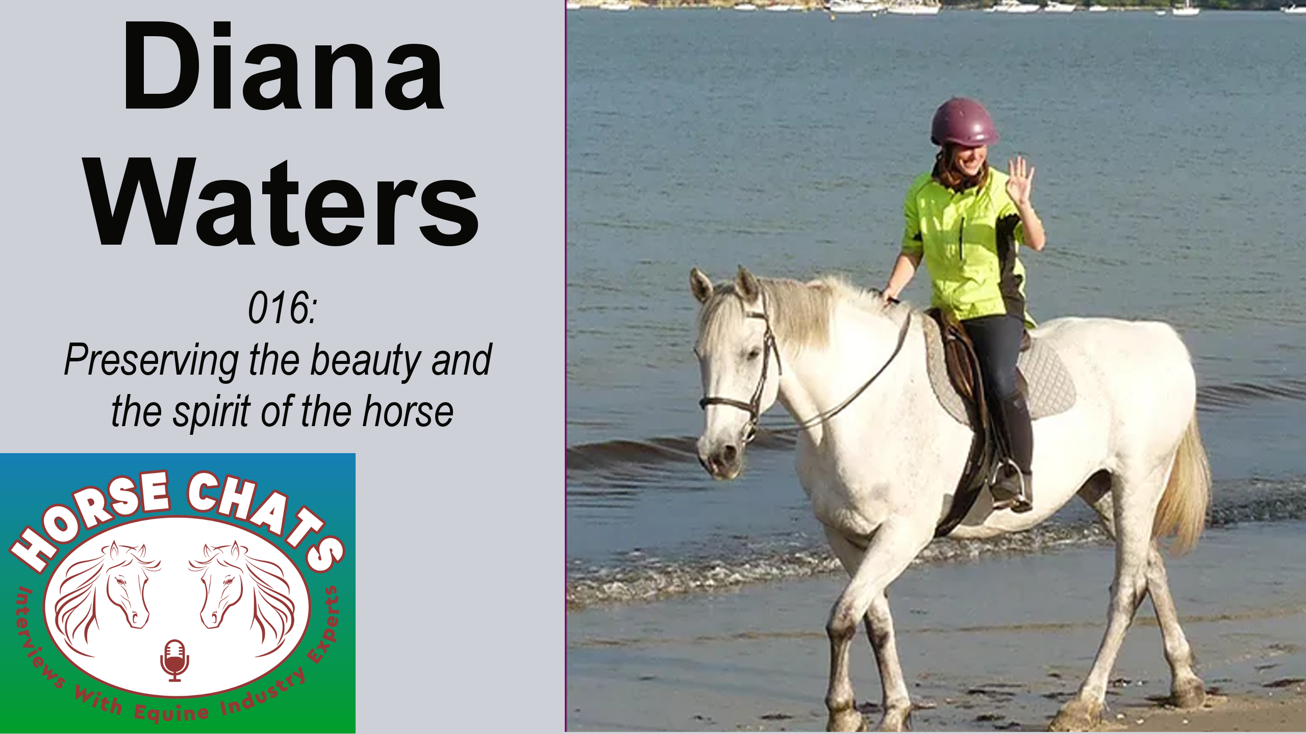 0016: Diana Waters - Preserving the Beauty and Spirit of the Horse