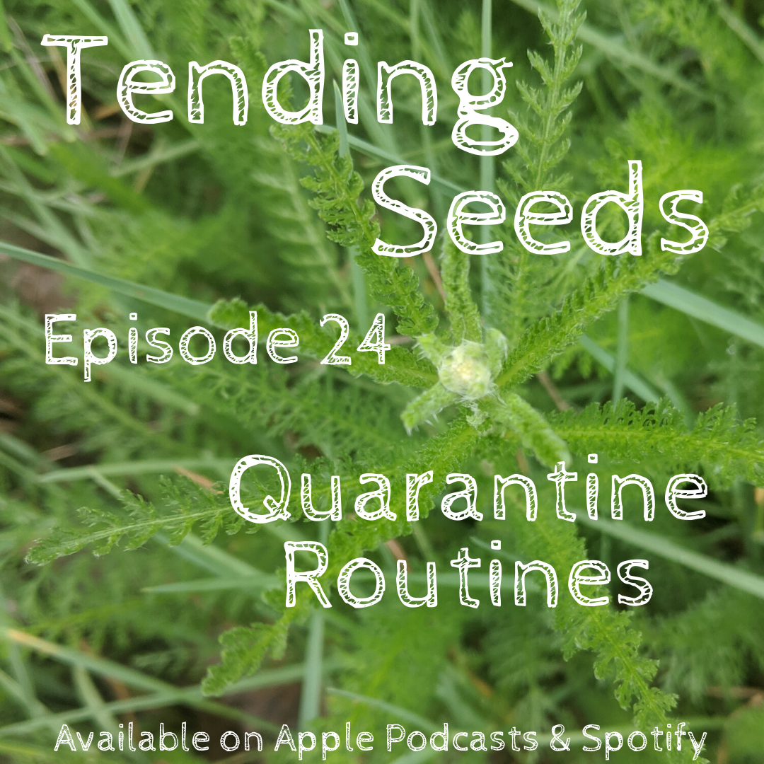 Tending Seeds: Adventures in Gardening, Homesteading, and Herbalism