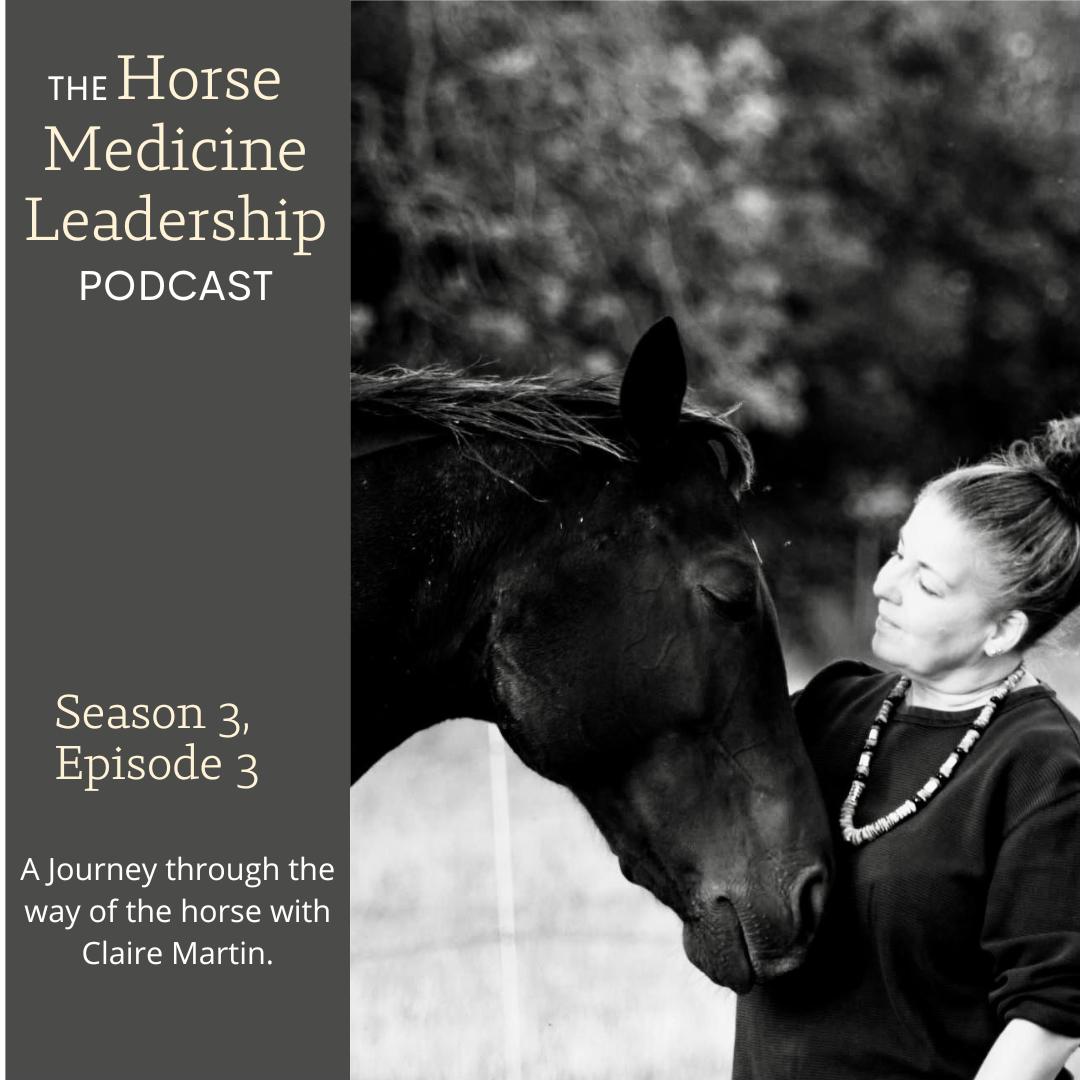 Horse Medicine Leadership