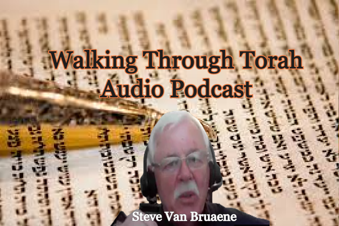 Walking Through Torah Chukat_ - Steve Van Bruaene