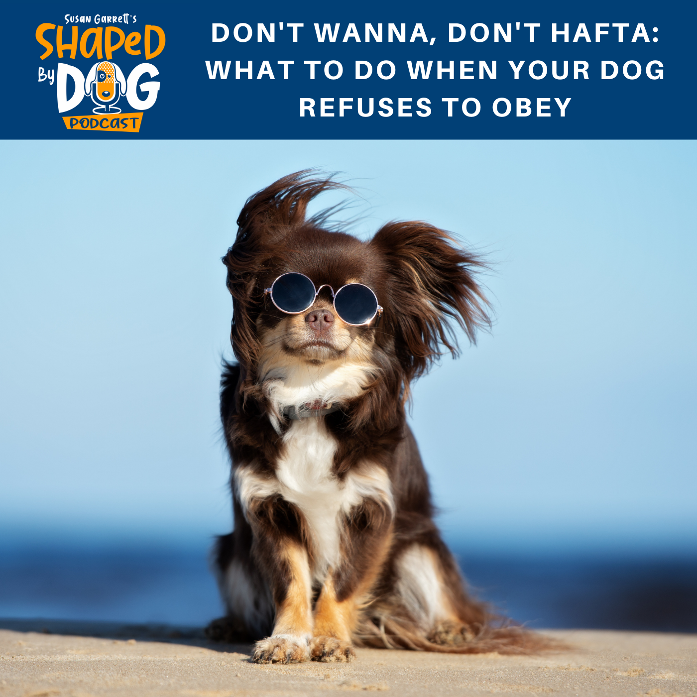 Don't Wanna, Don't Hafta: What To Do When Your Dog Refuses To Obey #47