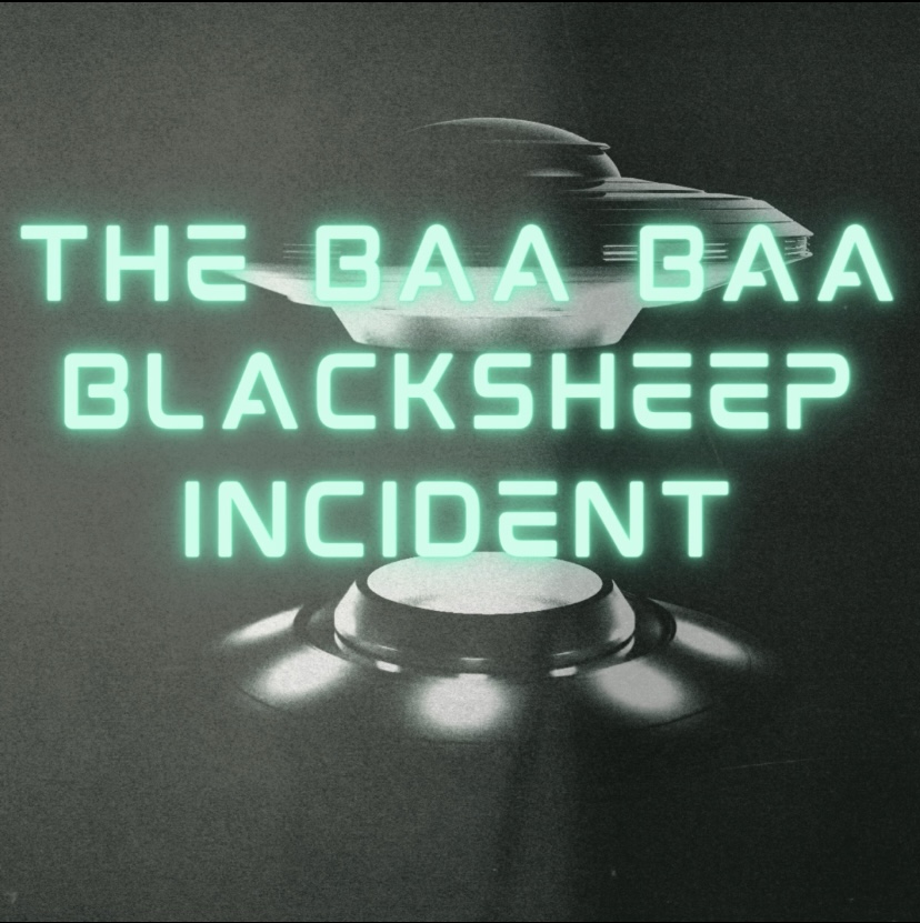 cover of episode The Baa Baa Blacksheep Incident