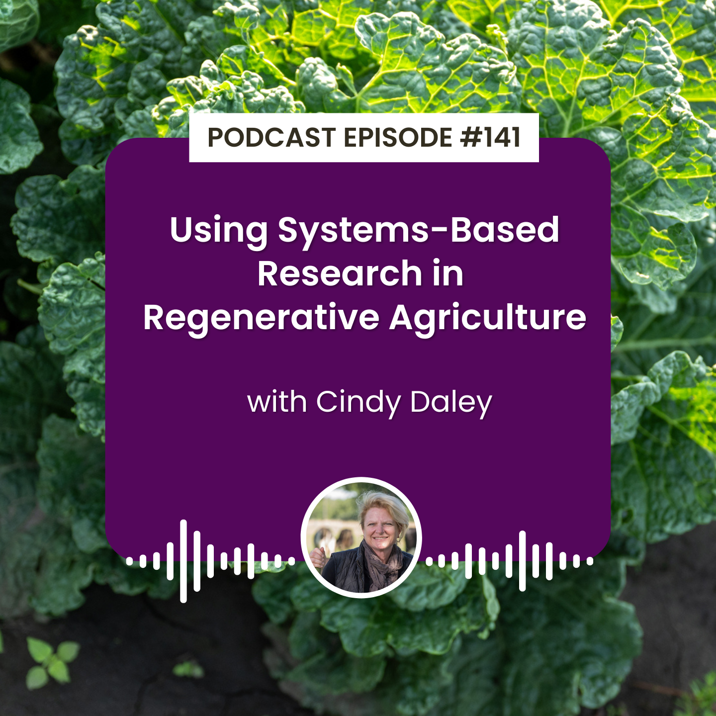 cover of episode Episode 141: Using Systems-Based Research in Regenerative Agriculture with Cindy Daley