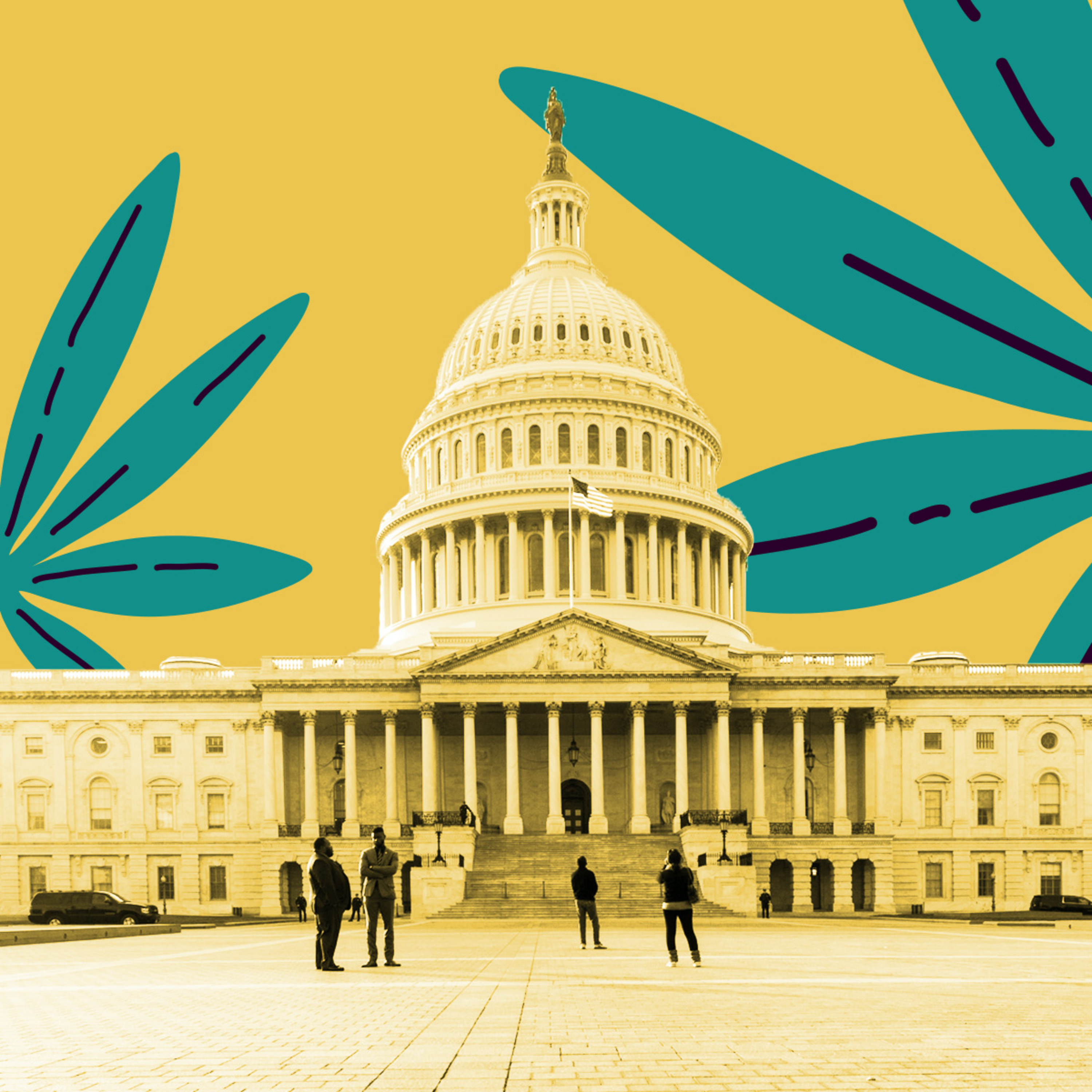 U.S. House Approves Marijuana Bill — Winning Weed Stocks