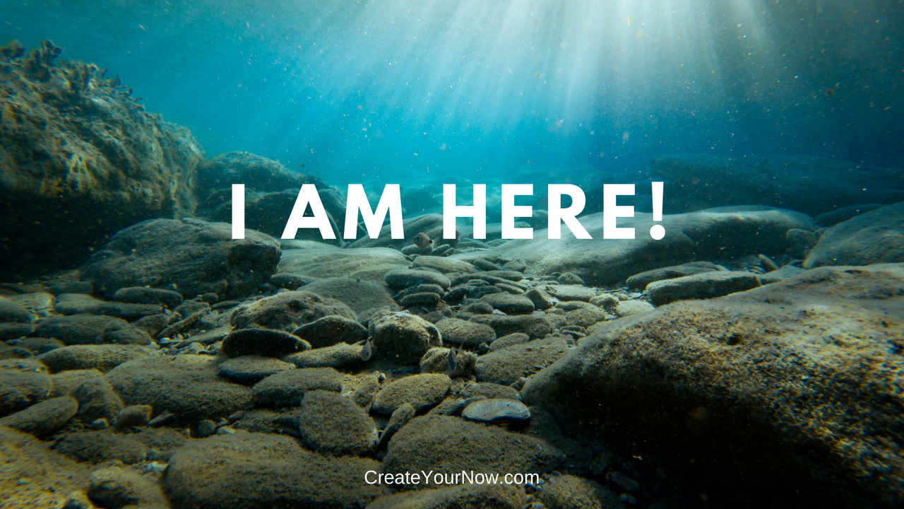 1214 I Am Here!