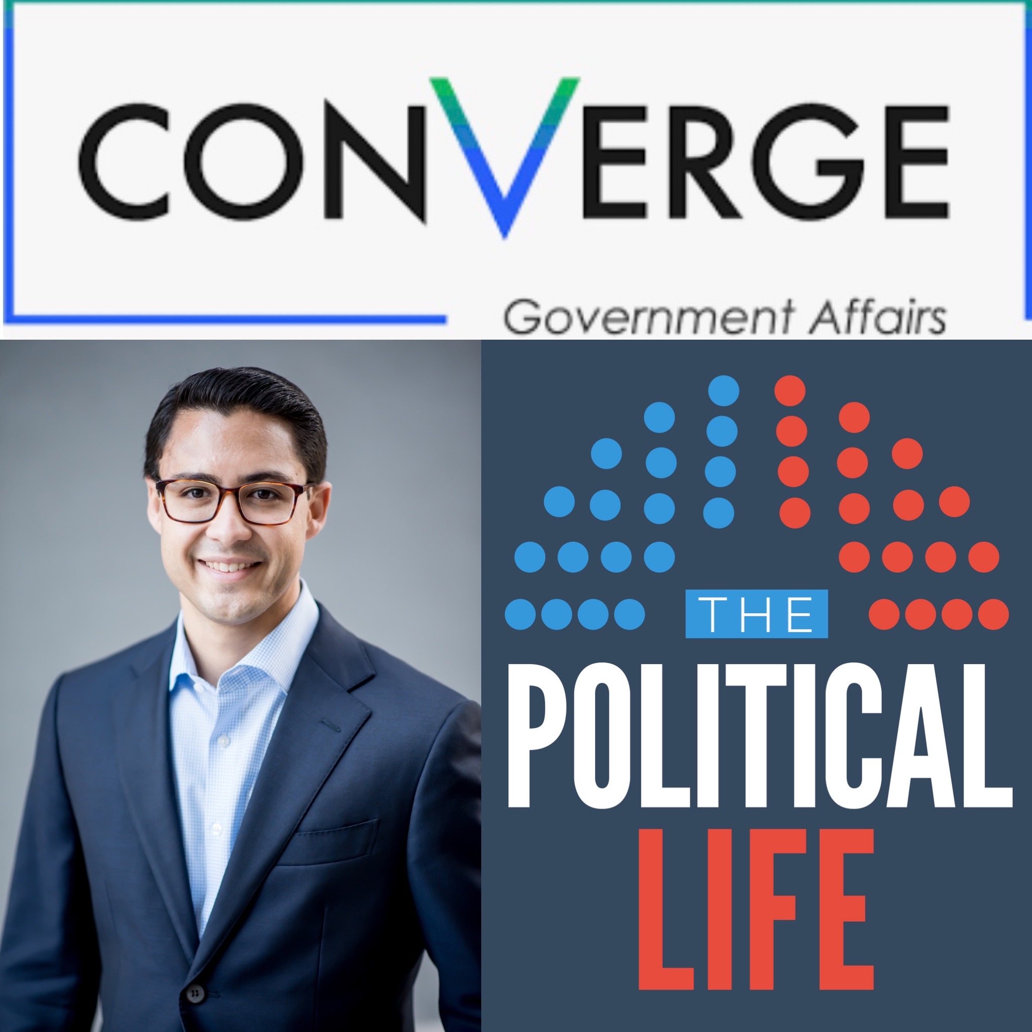 The Political Life