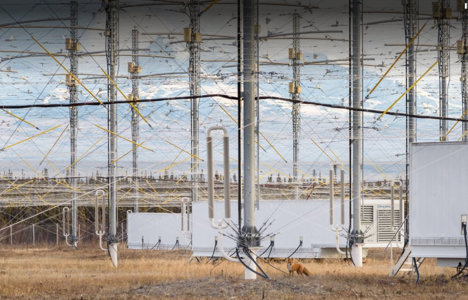 The Media Network Vintage Vault 2024-2025