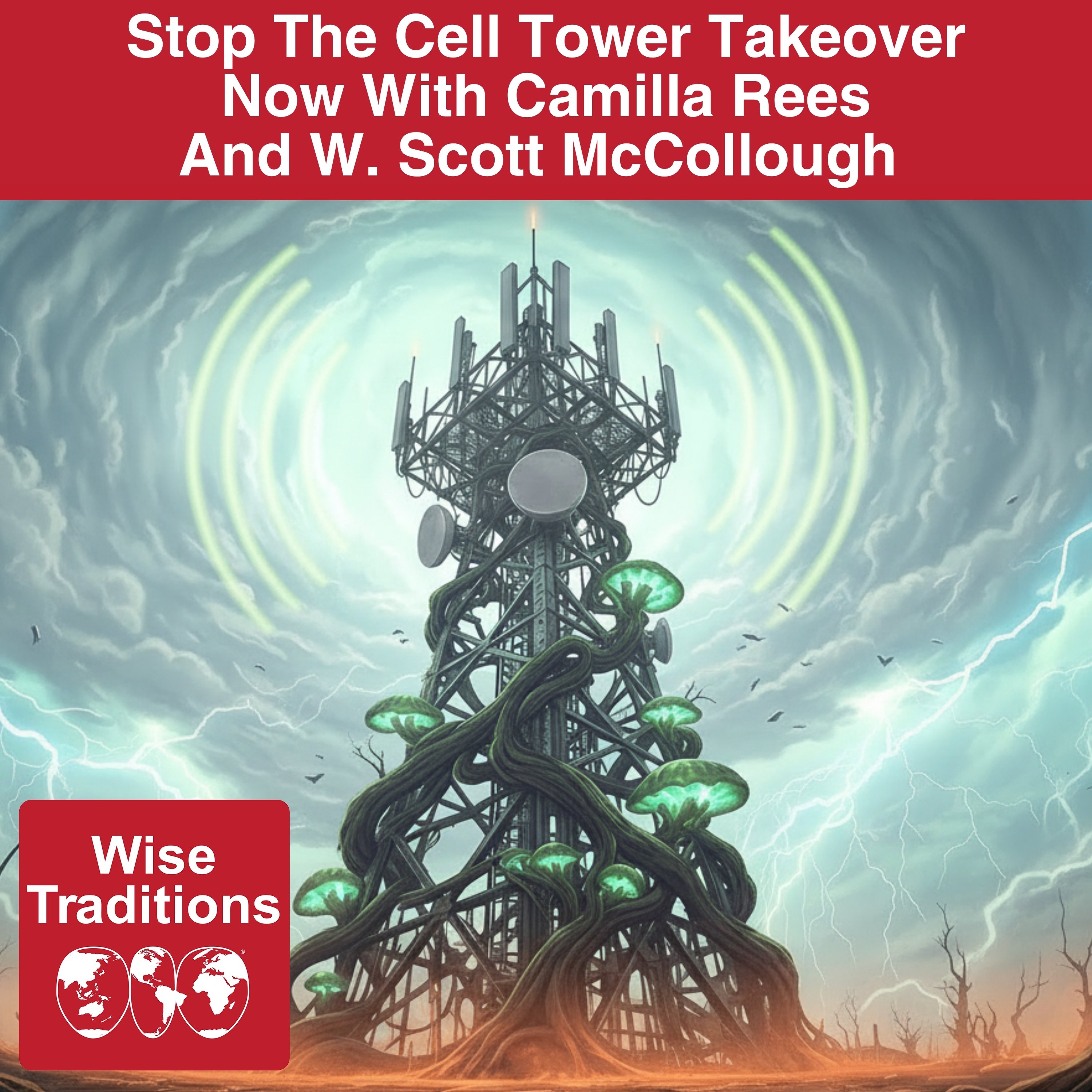 Stop The Cell Tower Takeover Now With Camilla Rees And W. Scott McCollough