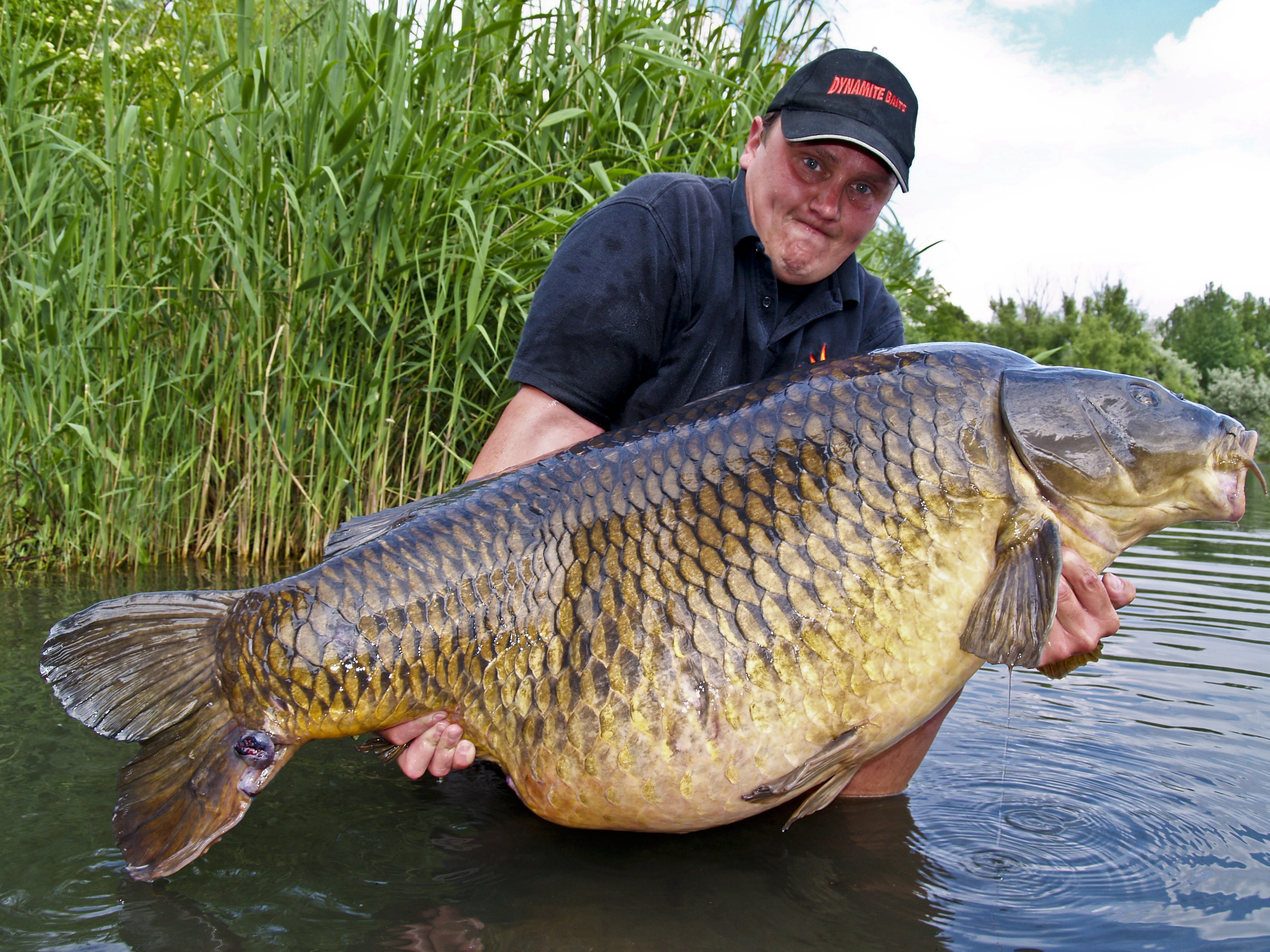 Is Strong Language Ever Appropriate? Are Our Best Efforts Actually σκύβαλον skýbalon/rubbish/poop?! @287 #theoneaboutcrap