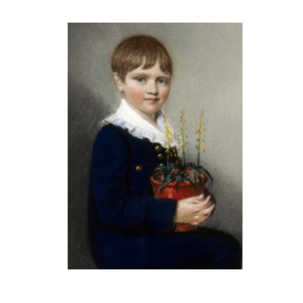 Faith and the Young Darwin