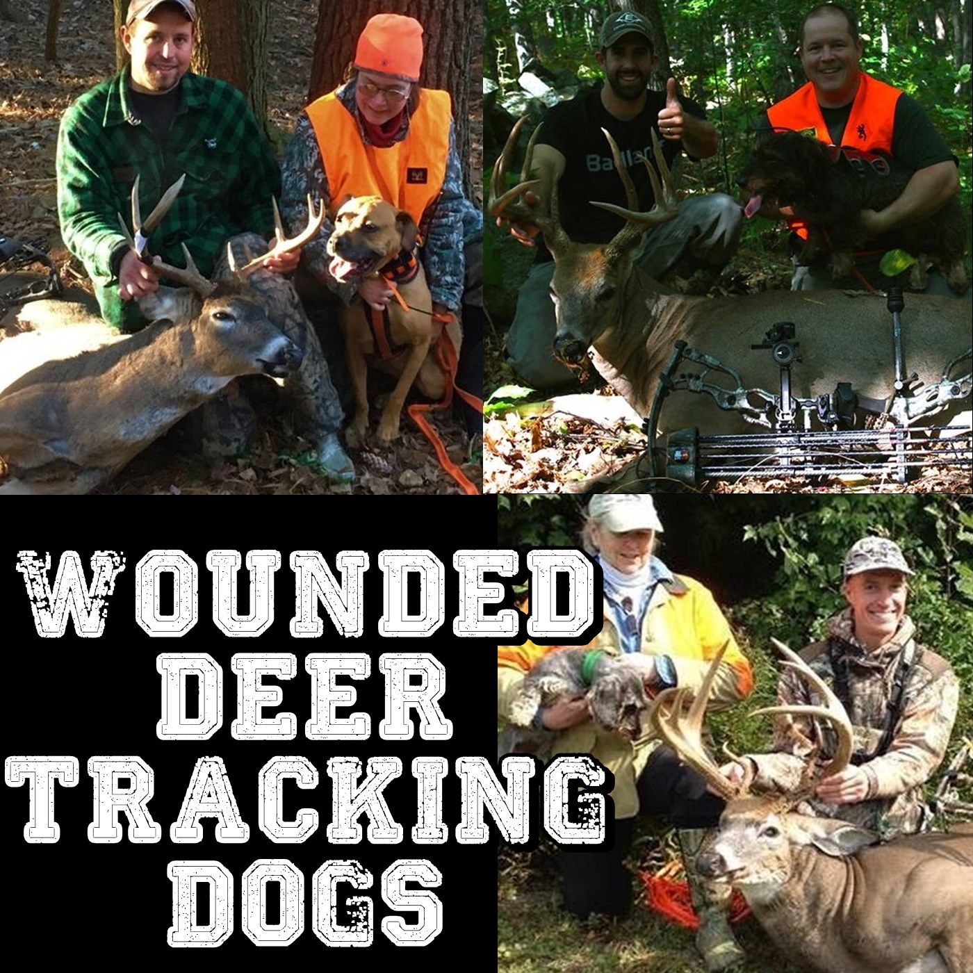 Deer Hunt by Big Buck Registry