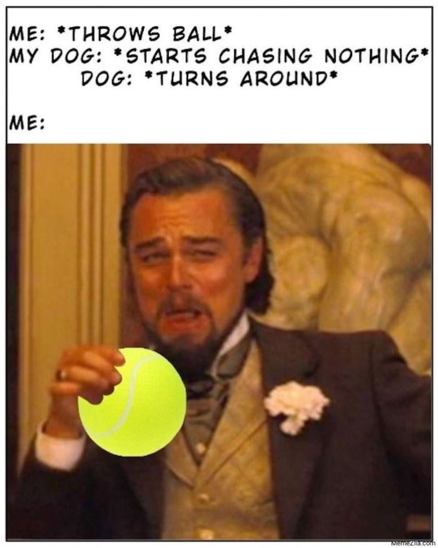 Celebrity Memes