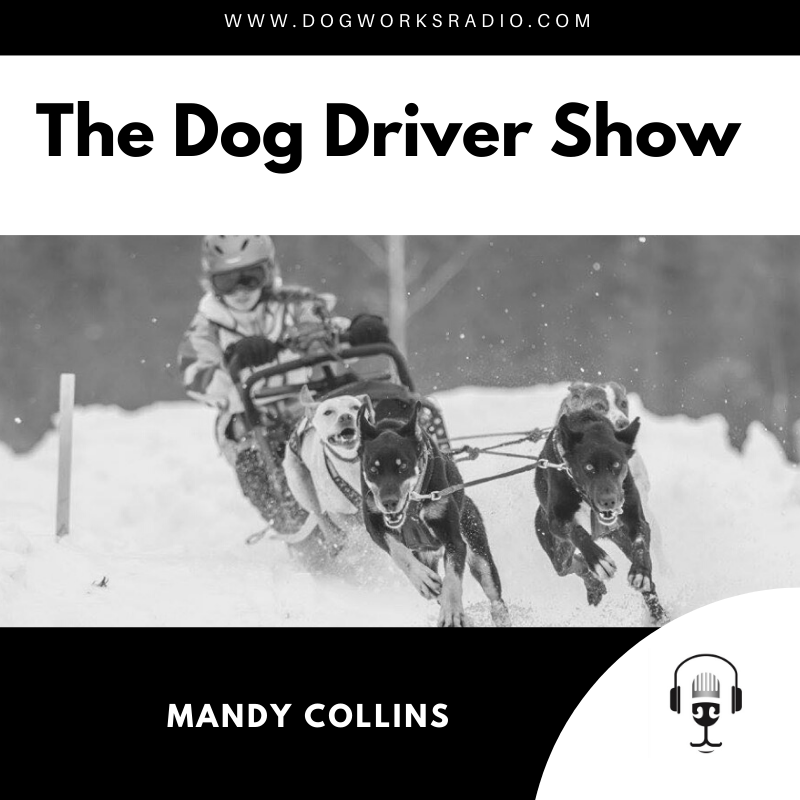 Dog Works Radio