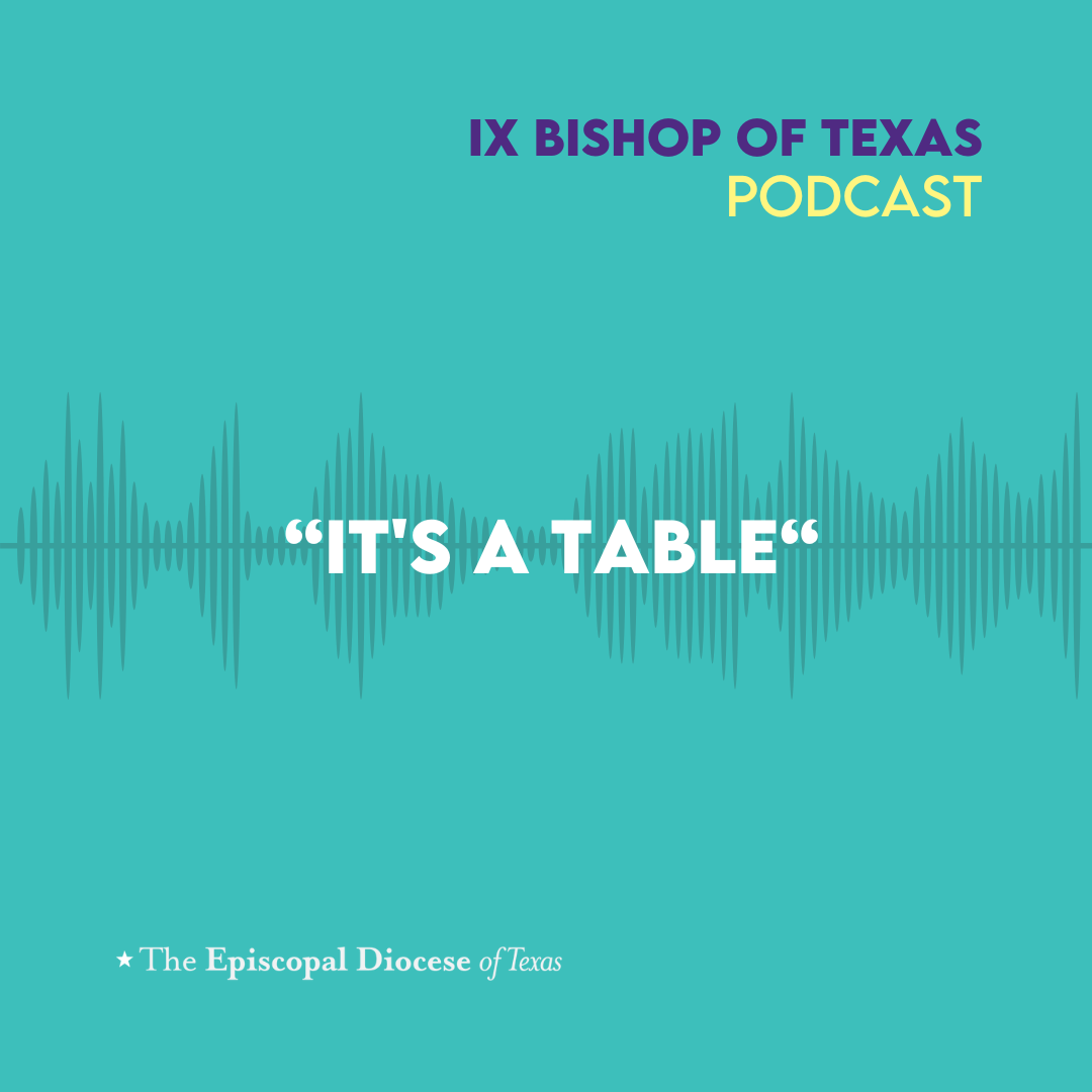 Ninth Bishop of Texas