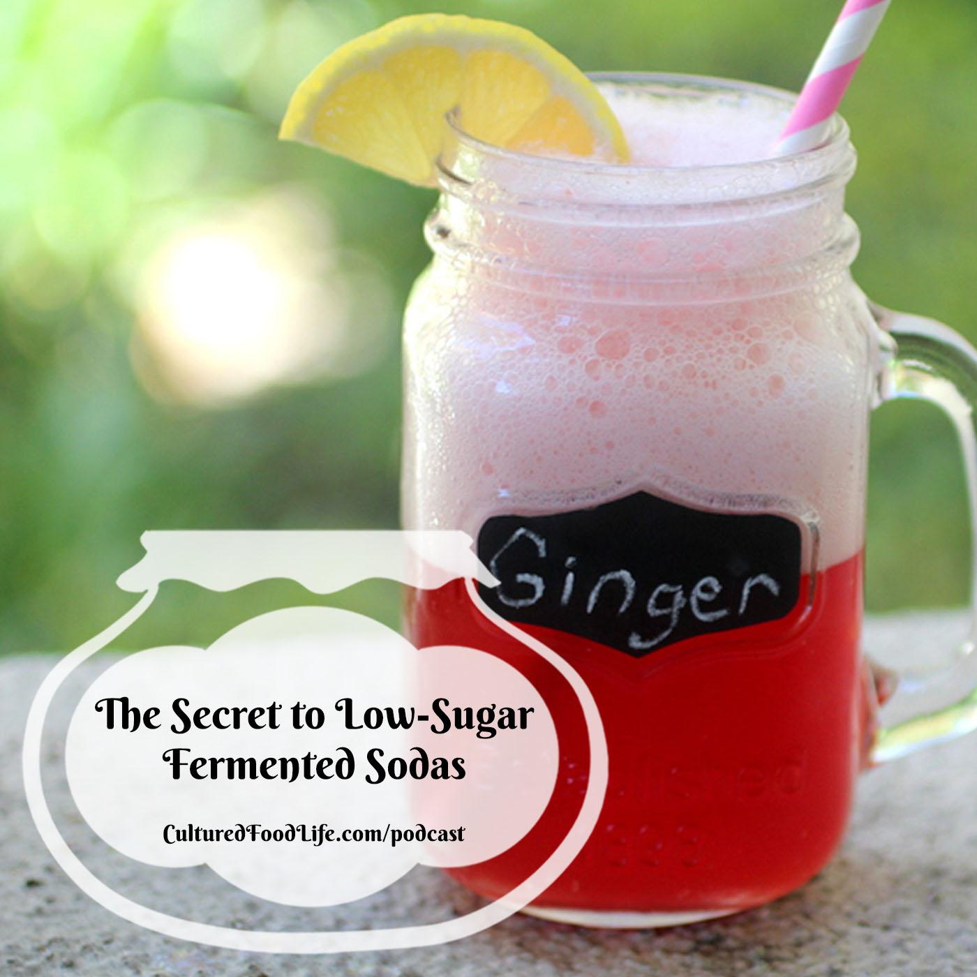 Episode 320: The Secret to Low-Sugar Fermented Sodas