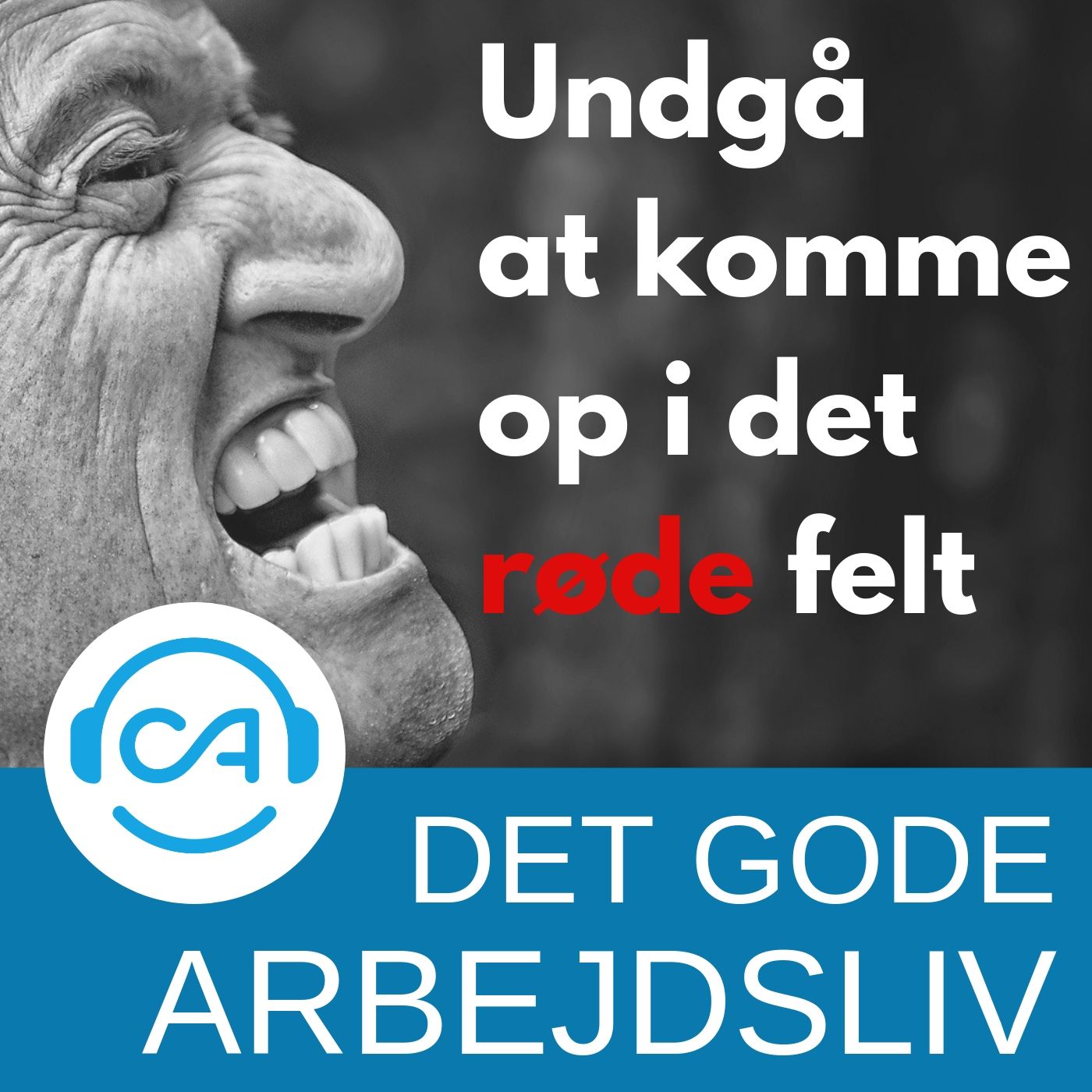 Det gode arbejdsliv: Undgå at komme op i det røde felt