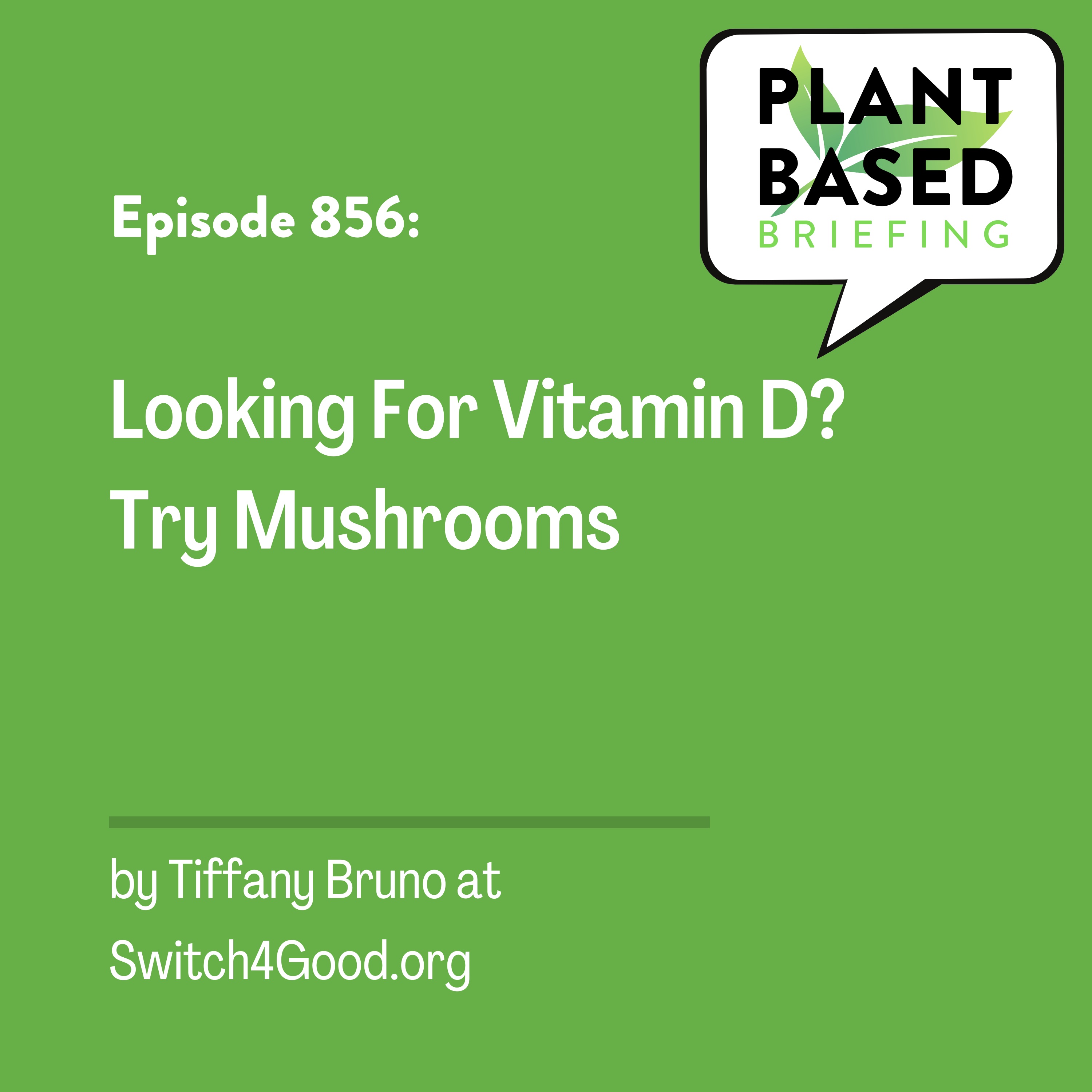 Plant Based Briefing
