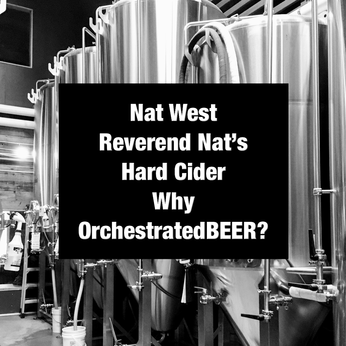 The Craft Beer Podcast
