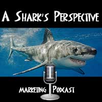 A Shark\'s Perspective