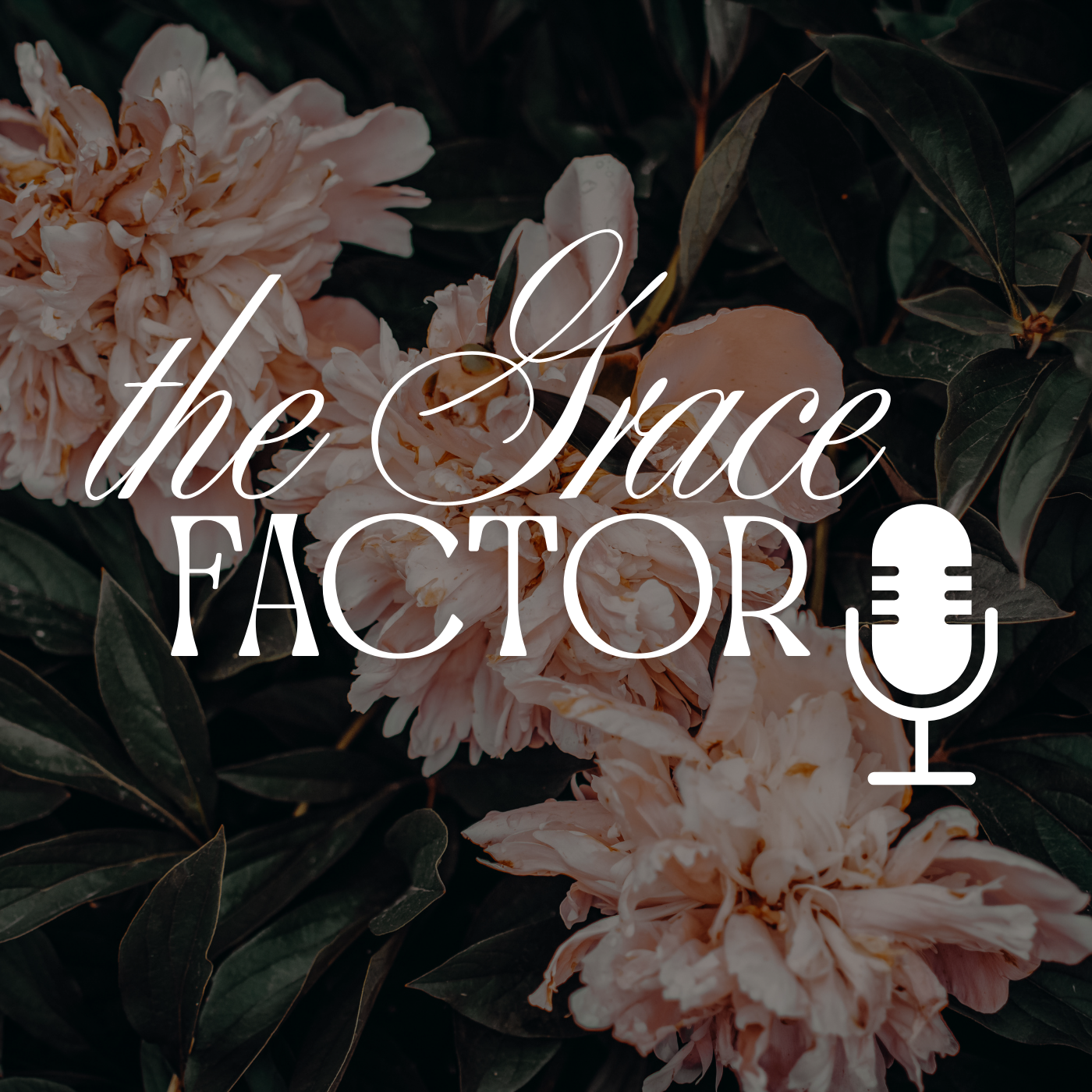 The Grace Factor - Real Estate, Motherhood, & The Courage to Start Again