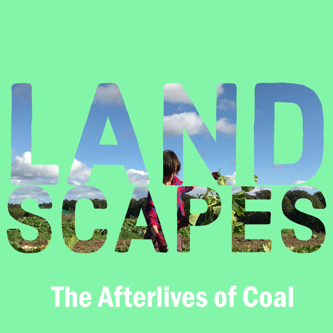 The Afterlives of Coal