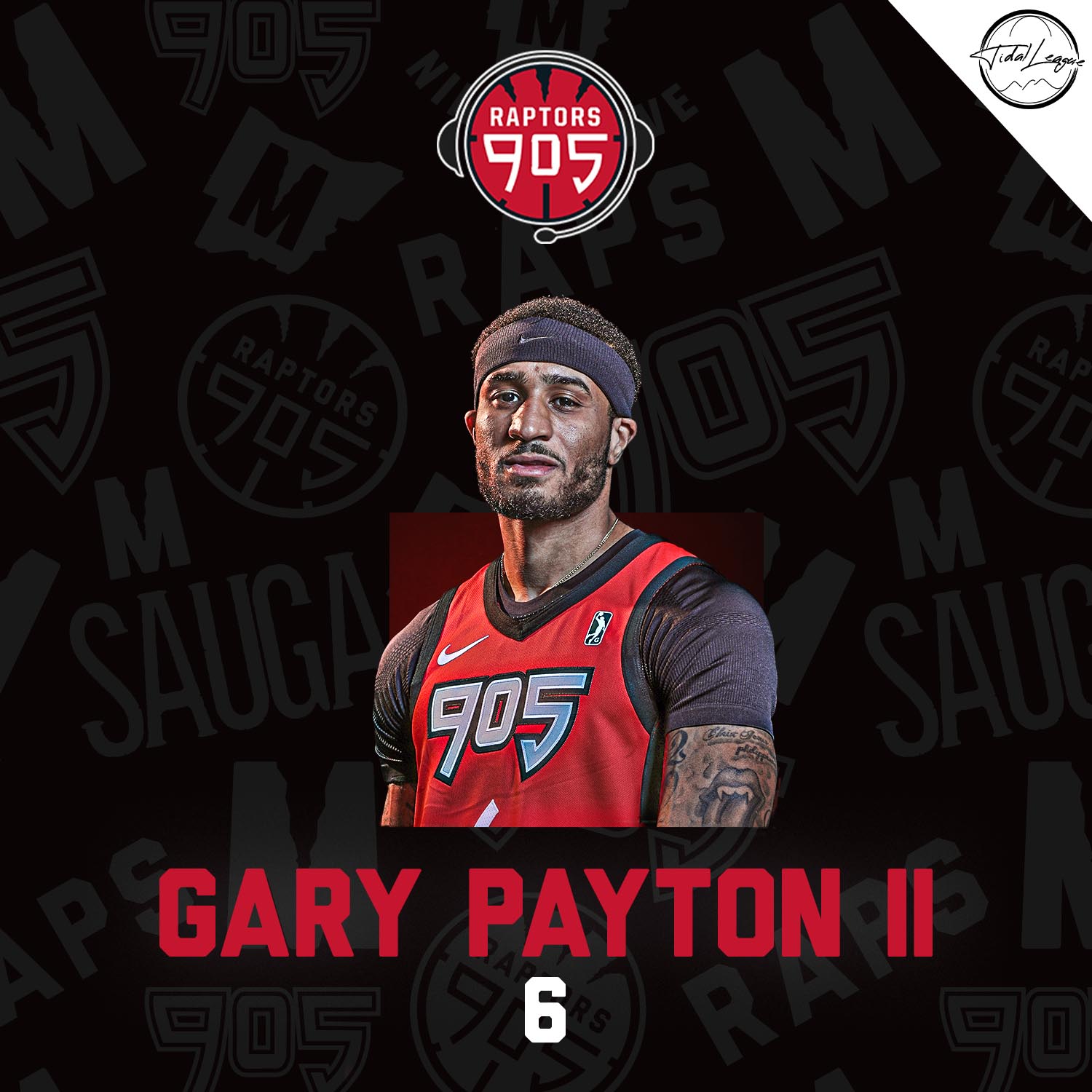 Raptors 905