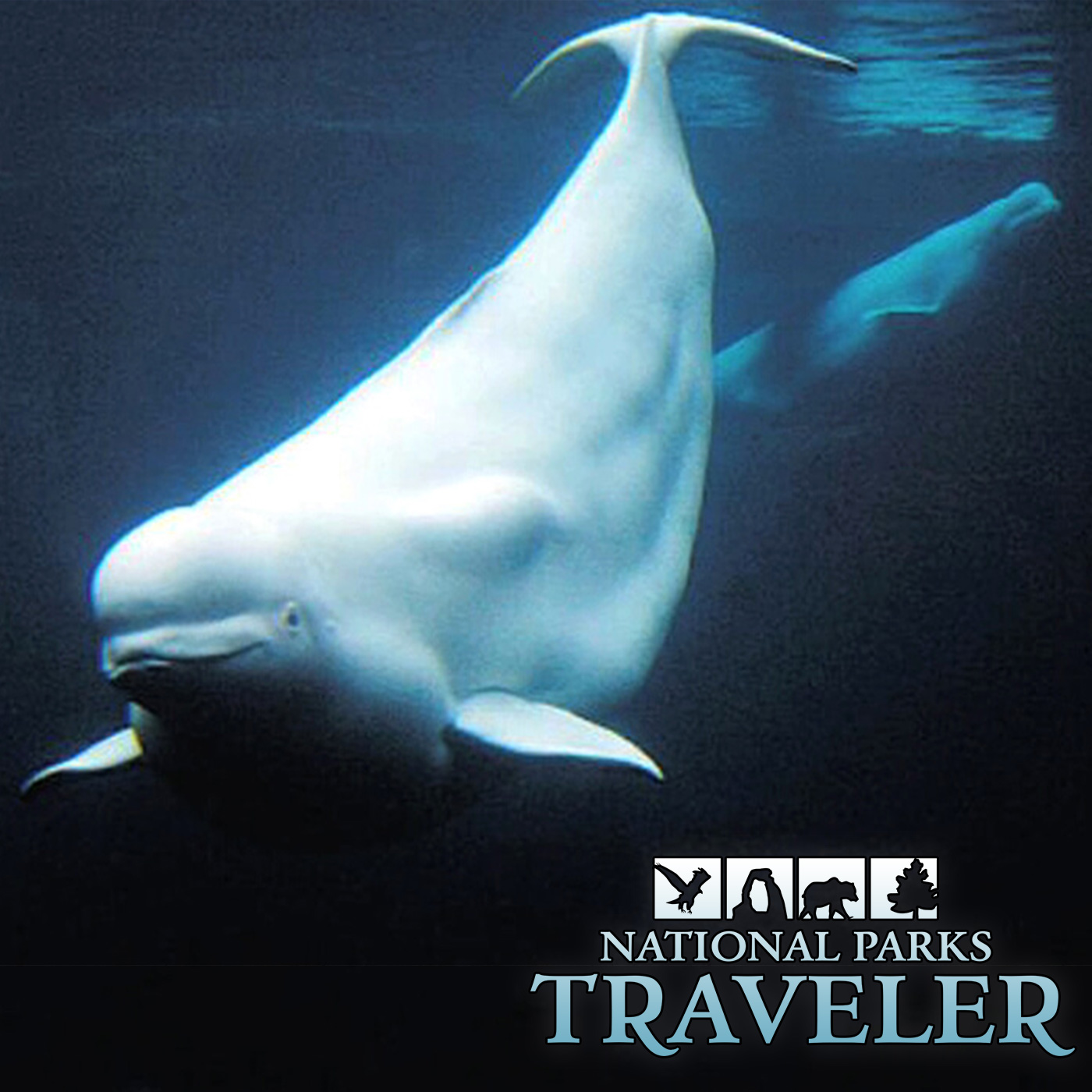 National Parks Traveler Podcast