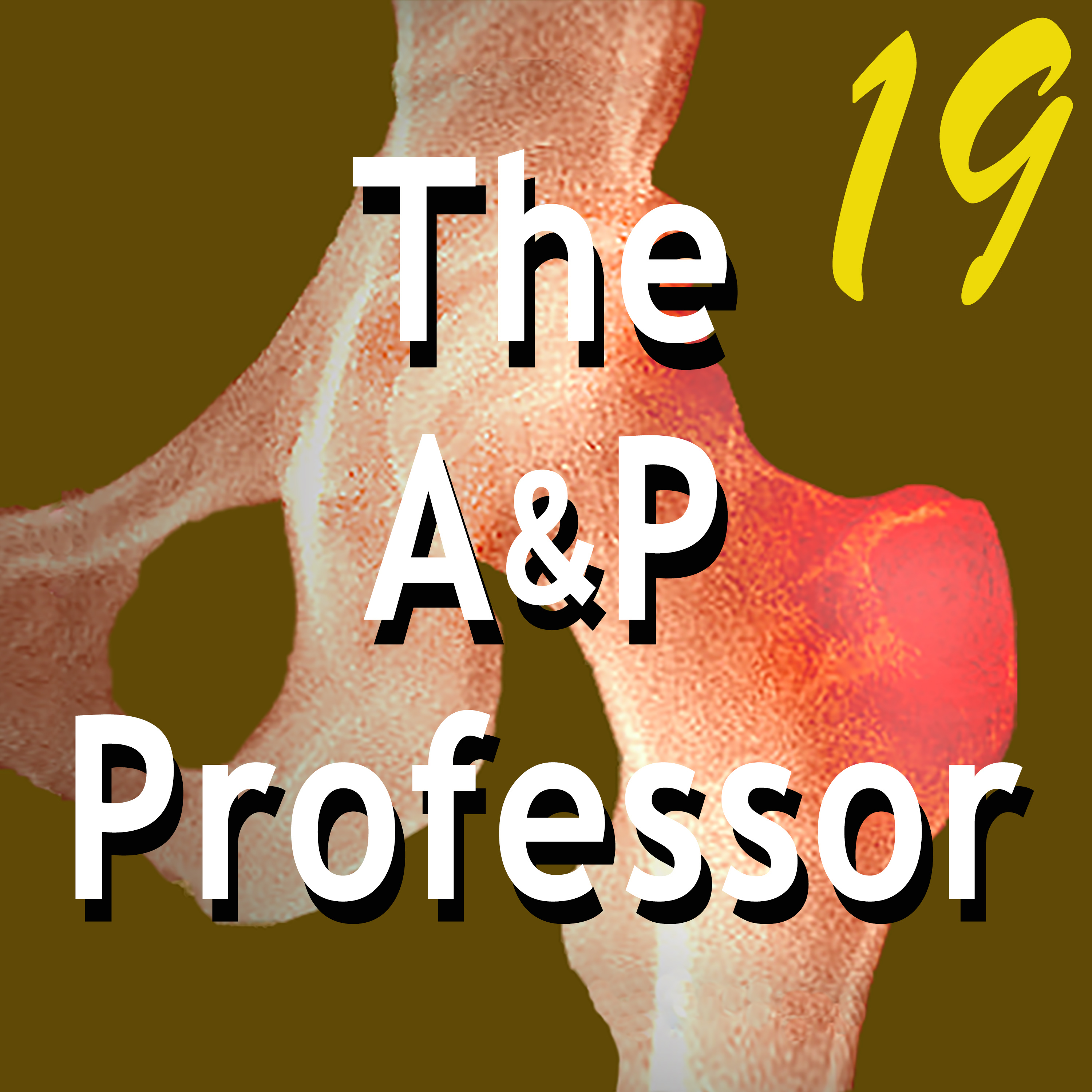 Caring for Students Helps Them Succeed | TAPP Episode 19