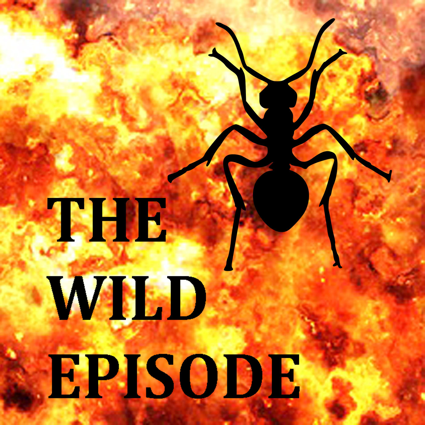 The Wild Episode