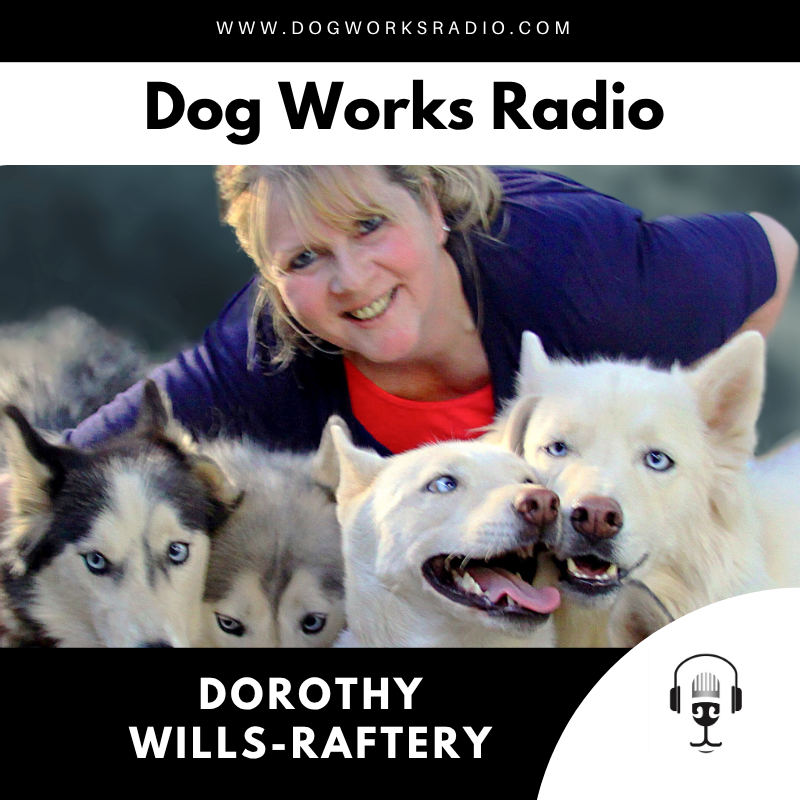Teaching Kids About Pet Loss Through Storytelling with Dorothy Wills-Raftery