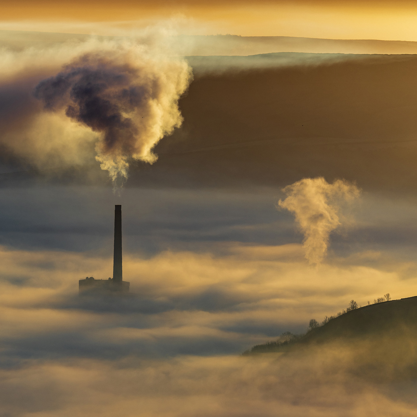 cover of episode Global stimulus funds fall short of boosting green economy