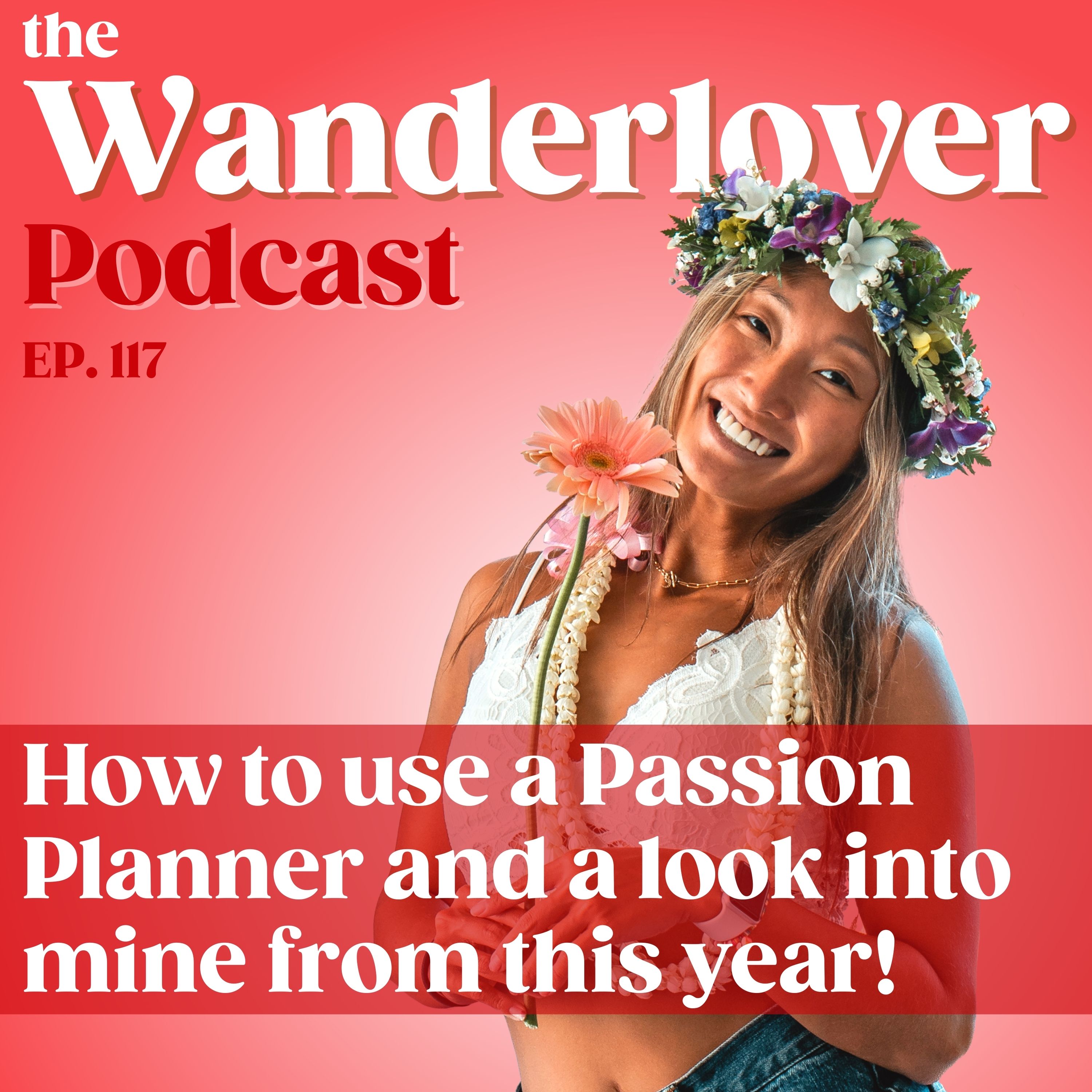 117 ✧ How to use a Passion Planner and a look into mine from this year!