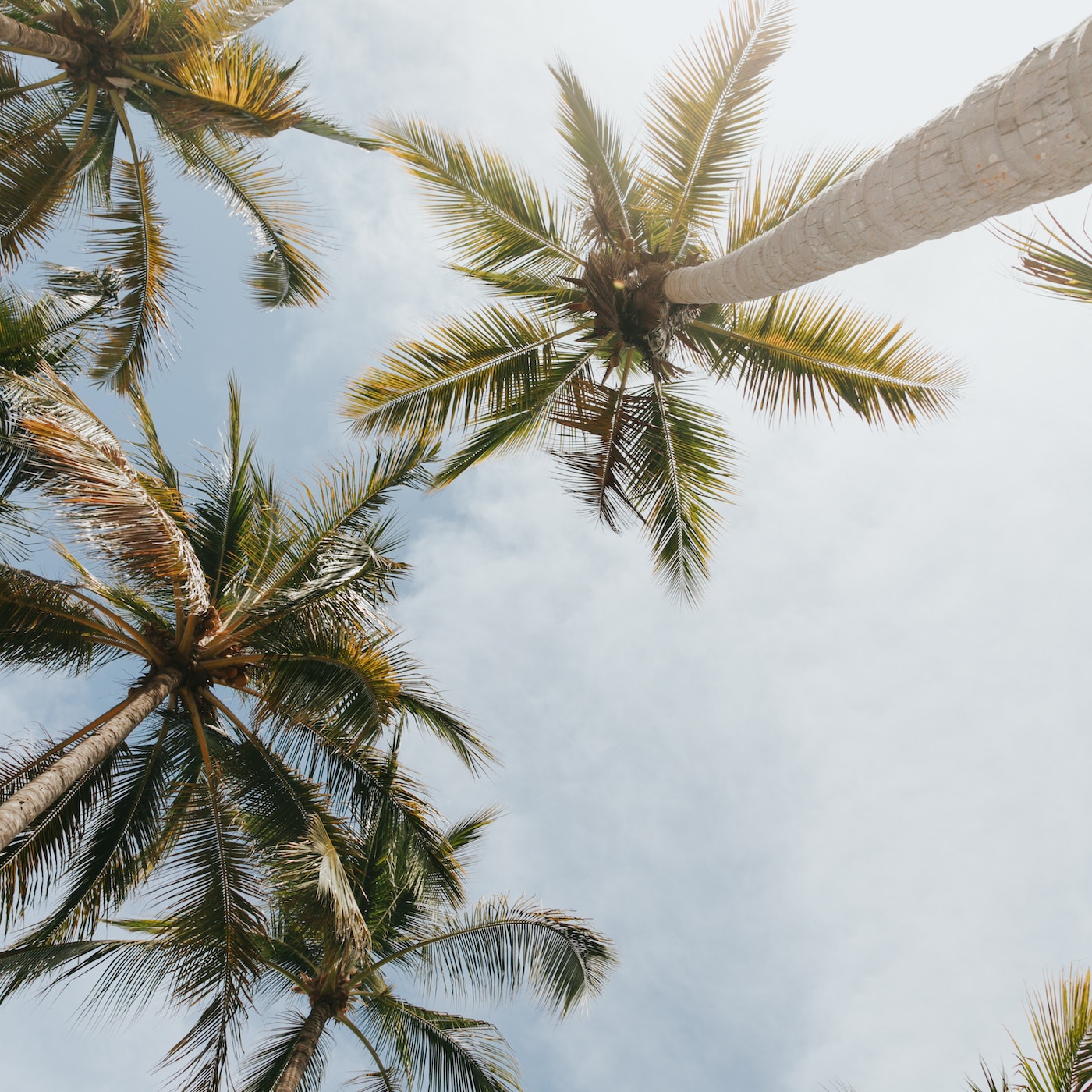 Meditation Helping You To Discover Your Origin Story And Overcome Anxiety