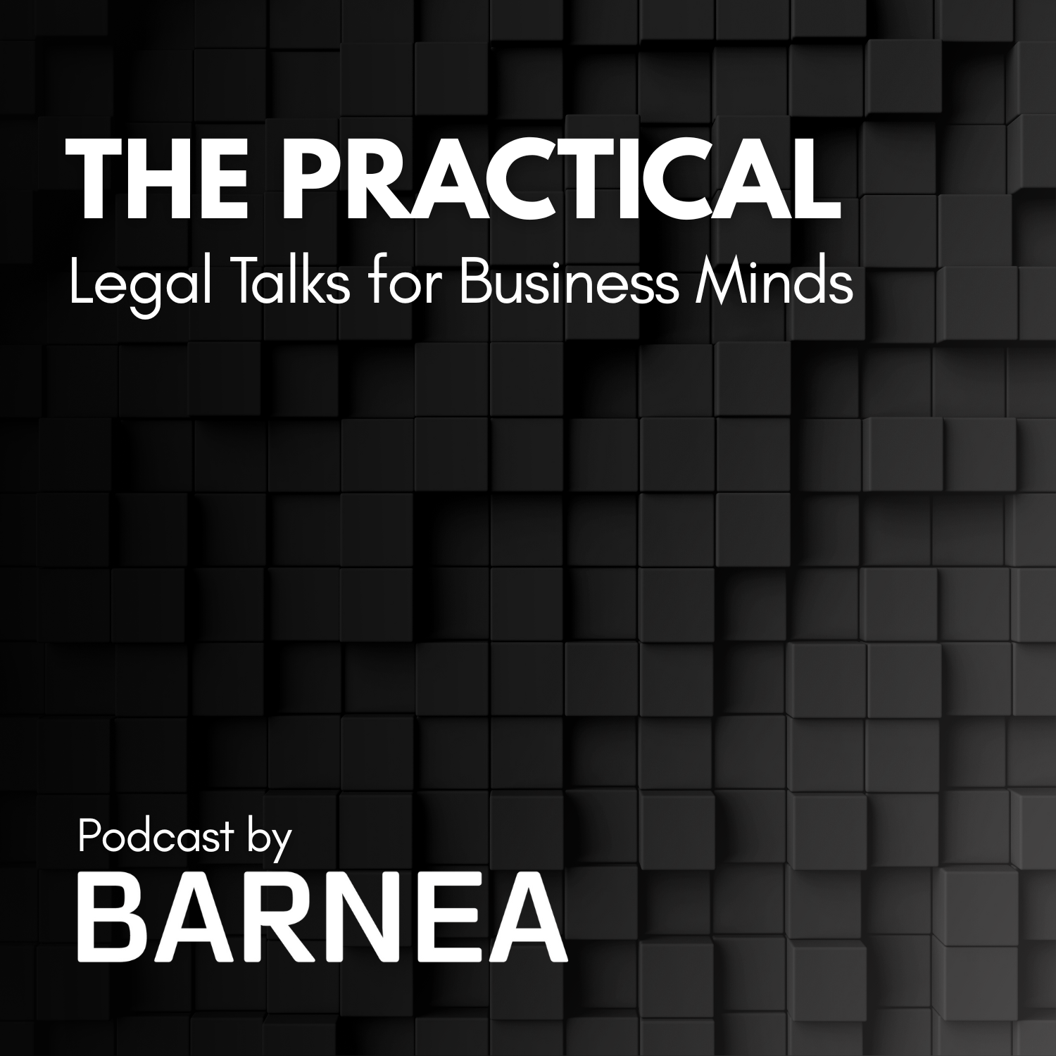 THE PRACTICAL | Legal & Business Talks
