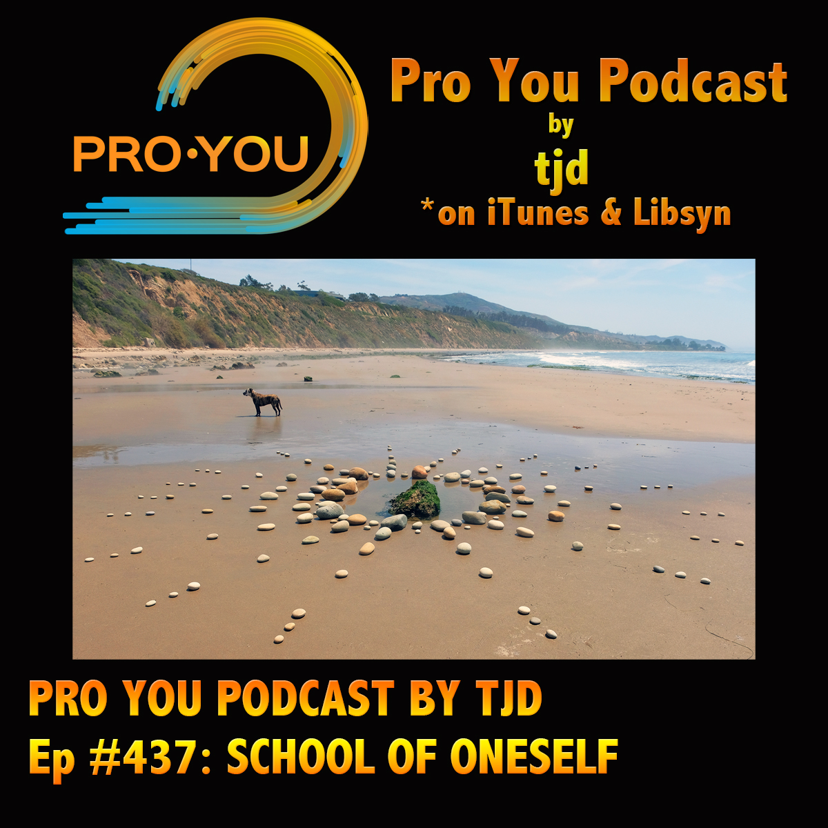 #437 School of Oneself