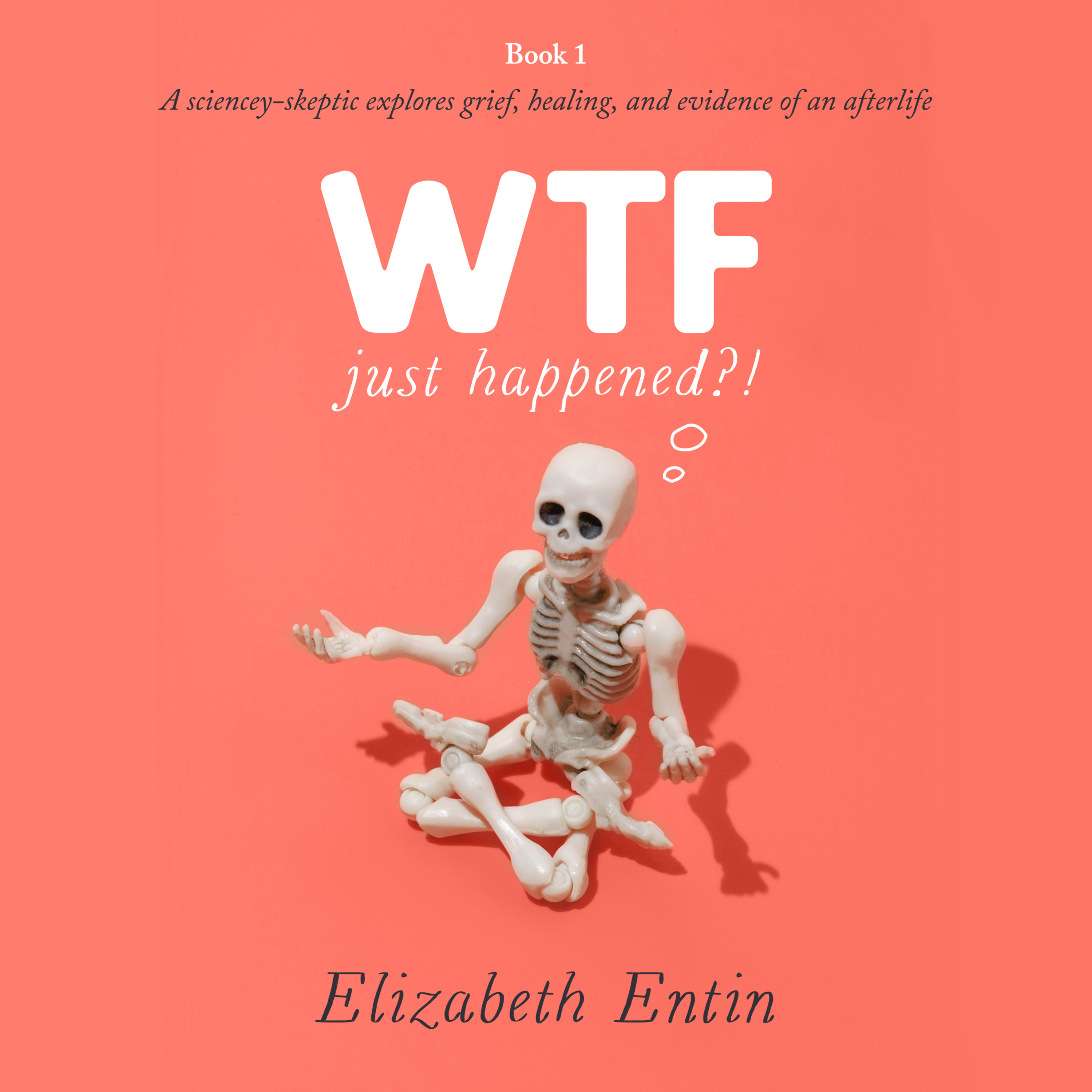 WTF Just Happened?!: All about the afterlife. No woo.