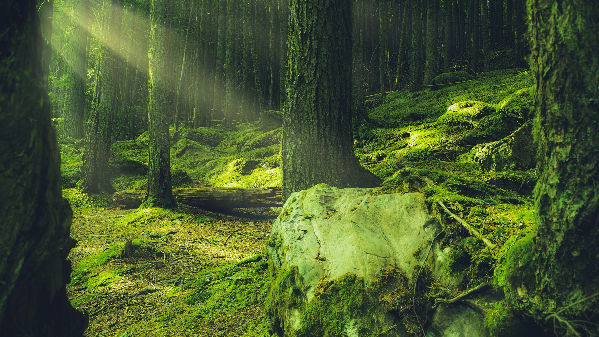 GUIDED MEDITATION. Rejuvenate & Gain Energy for Study, Concentration & Alertness