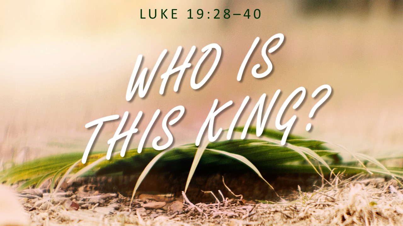 WHO IS THIS KING? (Dr. Chris Bonts) episode artwork