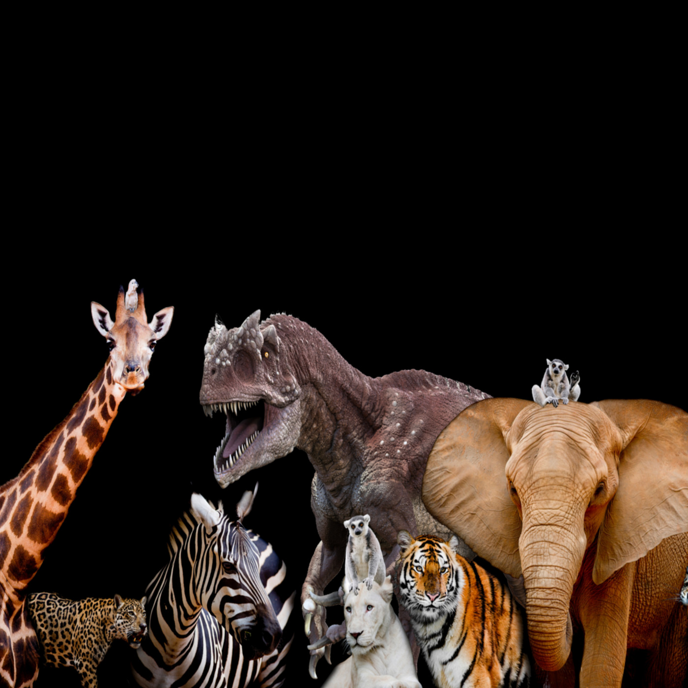 Livestock, Creeping Things and Beasts