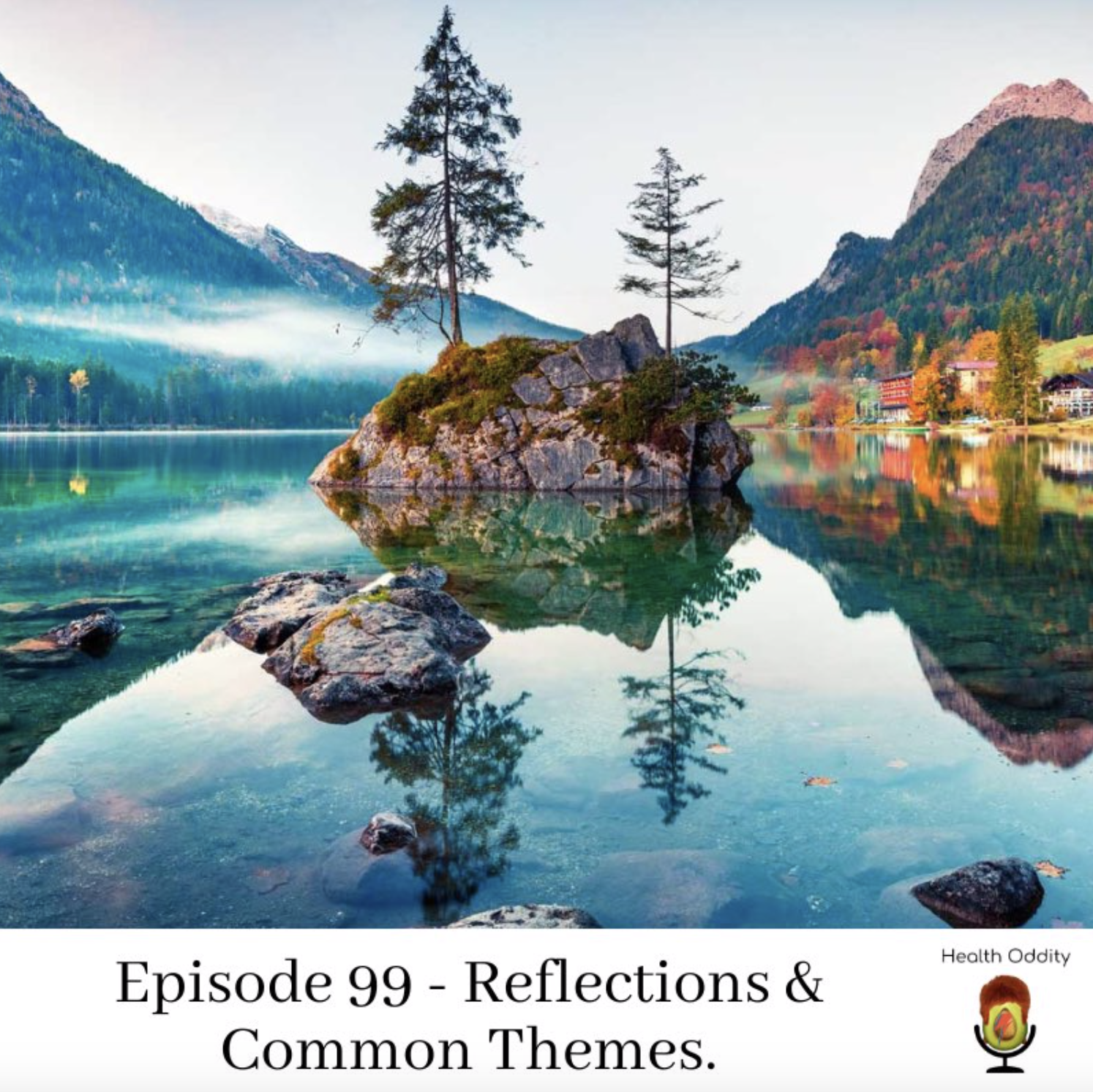 Reflections & Common Themes