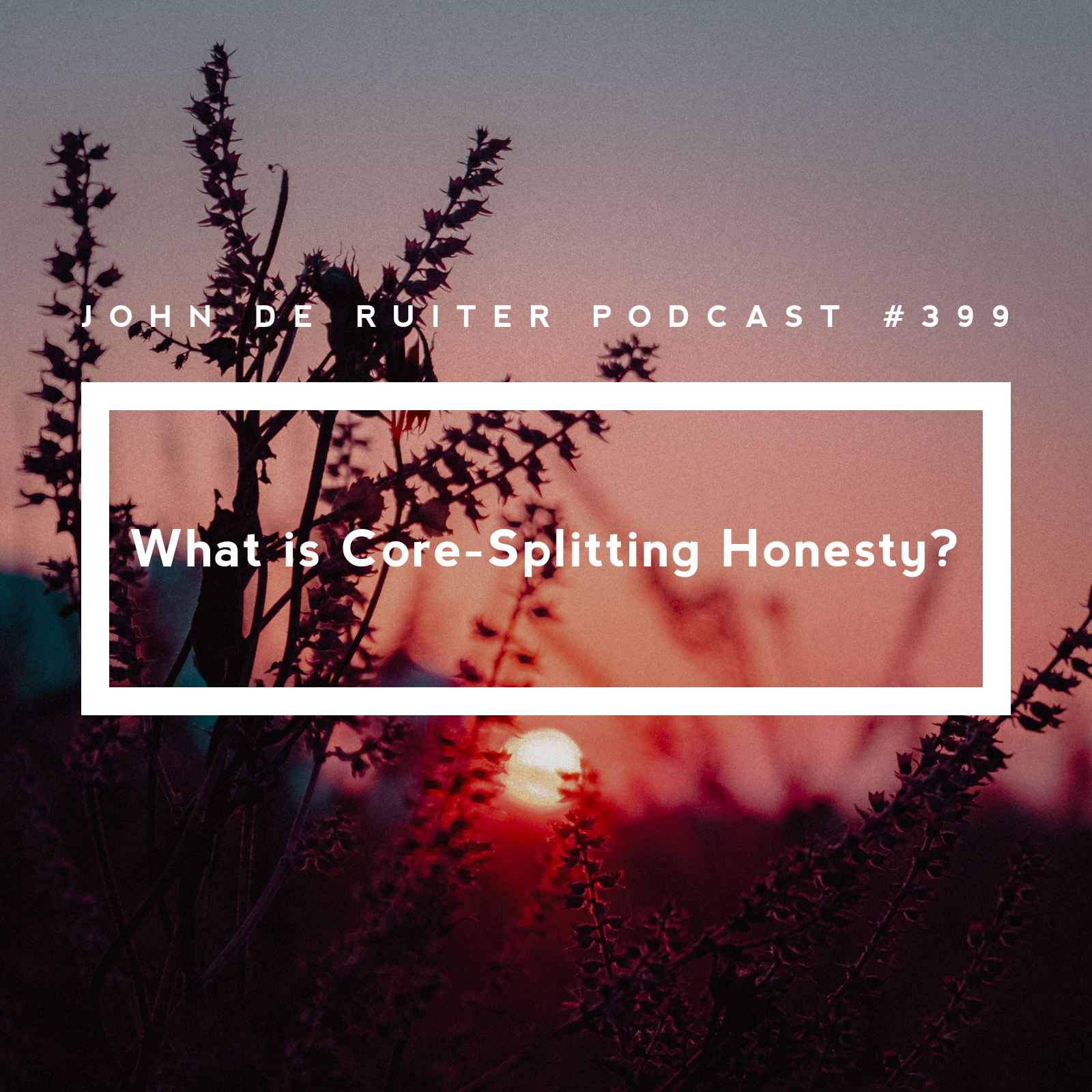 JdR Podcast 399 - What is Core-Splitting Honesty