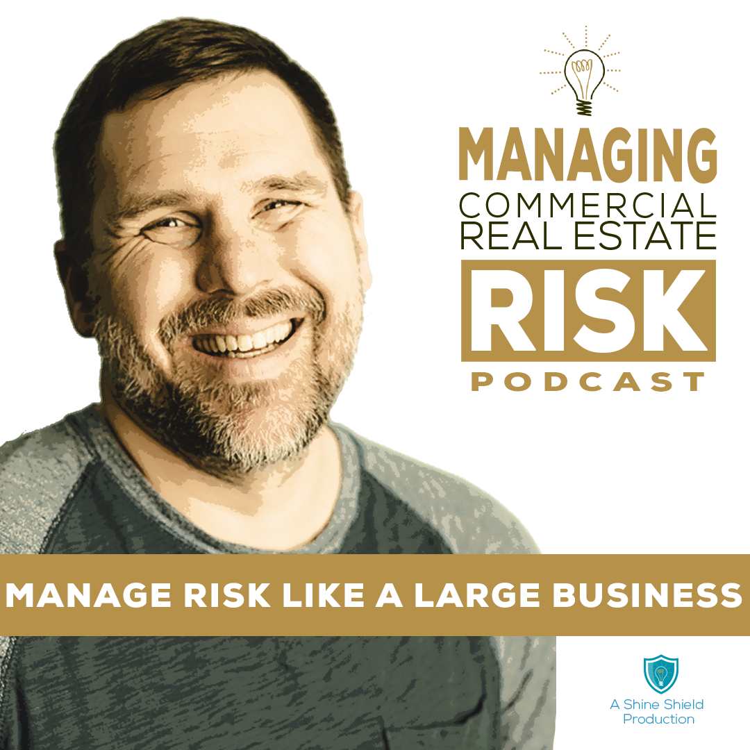 Manage Risk Like A Large Business