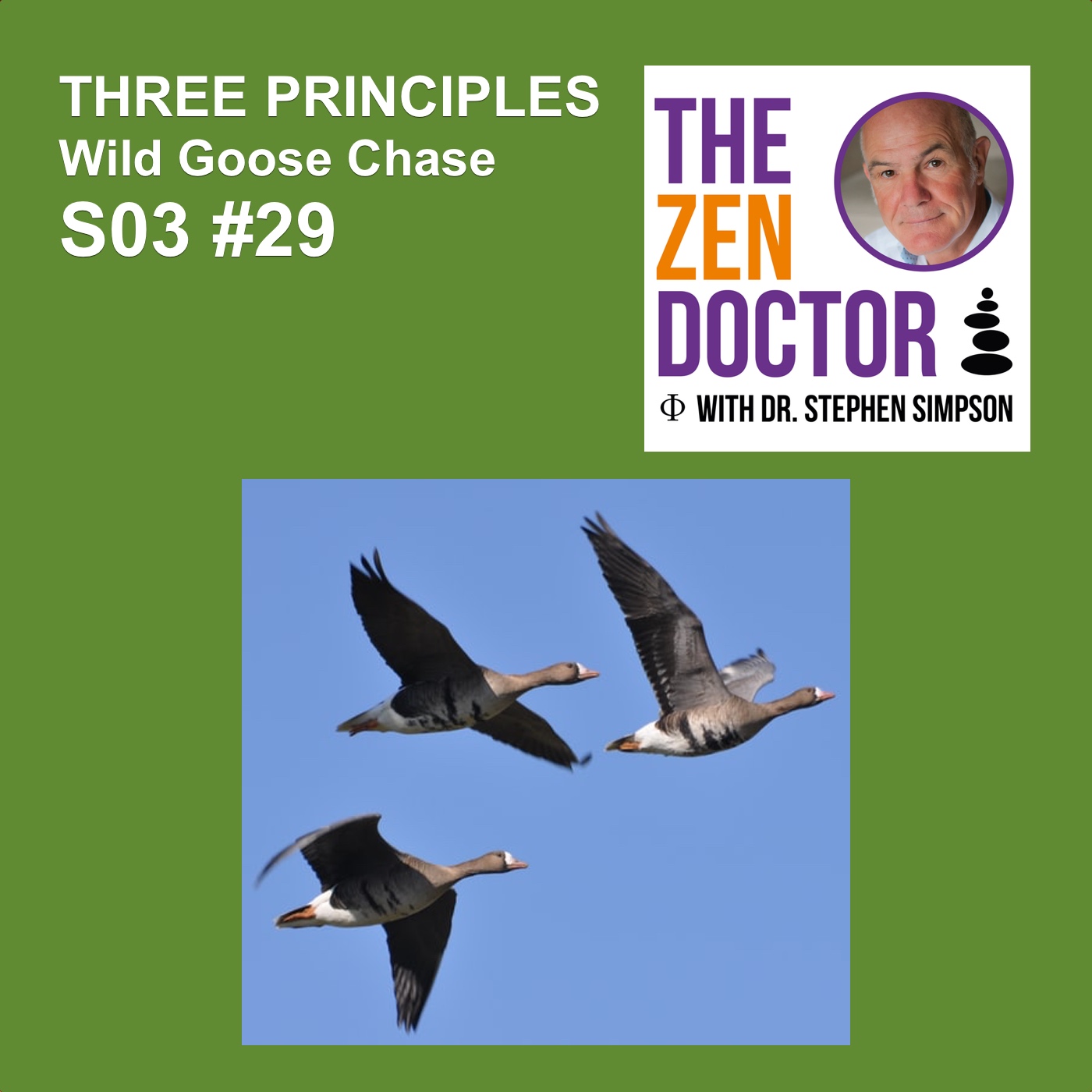 3 PRINCIPLES - Wild Goose Chase S03 #29