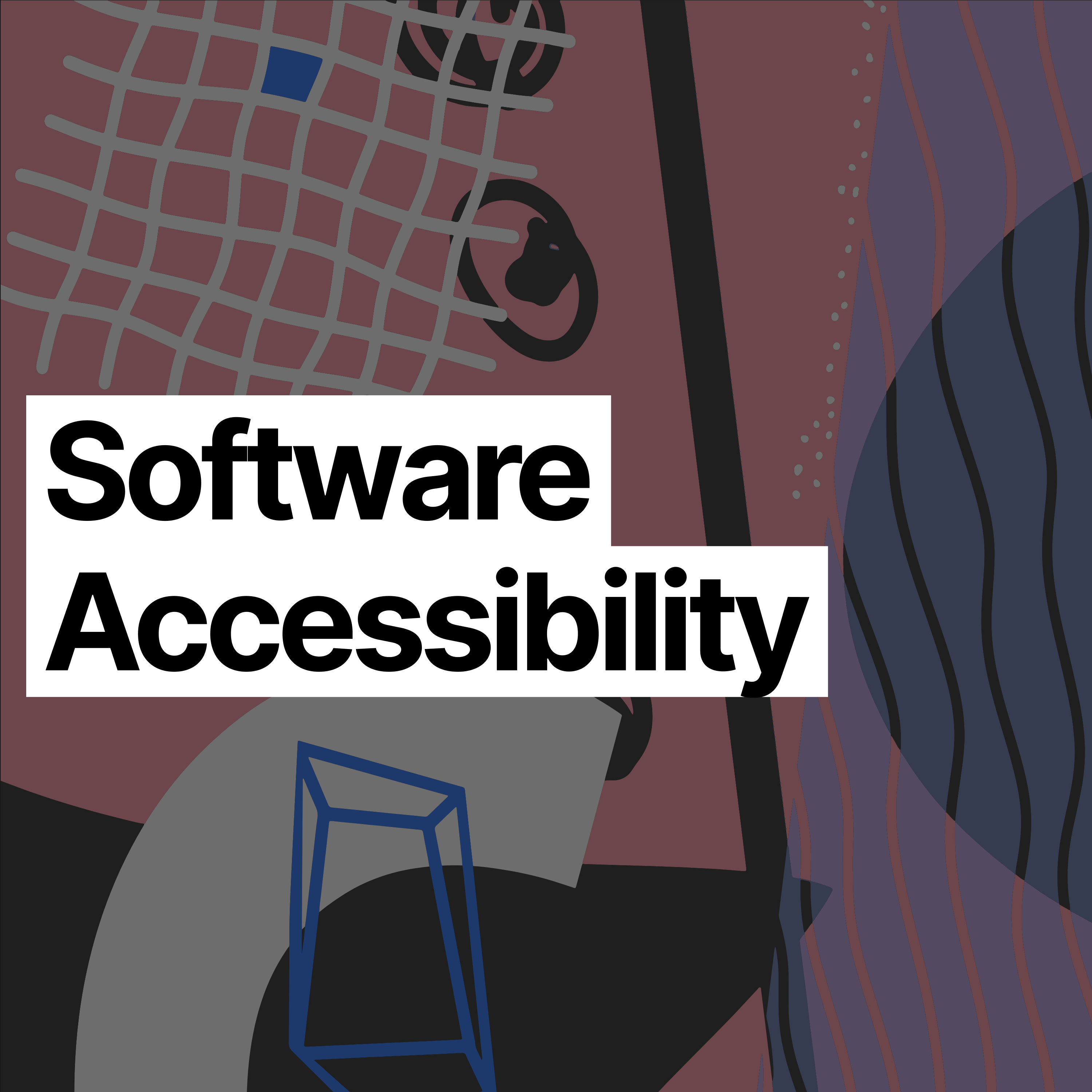 Software Accessibility