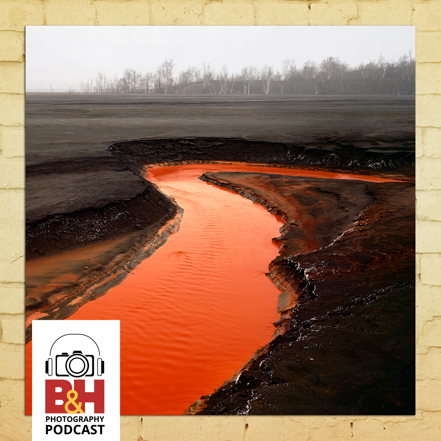 cover of episode The Great Acceleration: Human-Altered Industrial Landscapes, with Edward Burtynsky