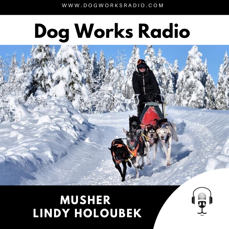 Dog Works Radio